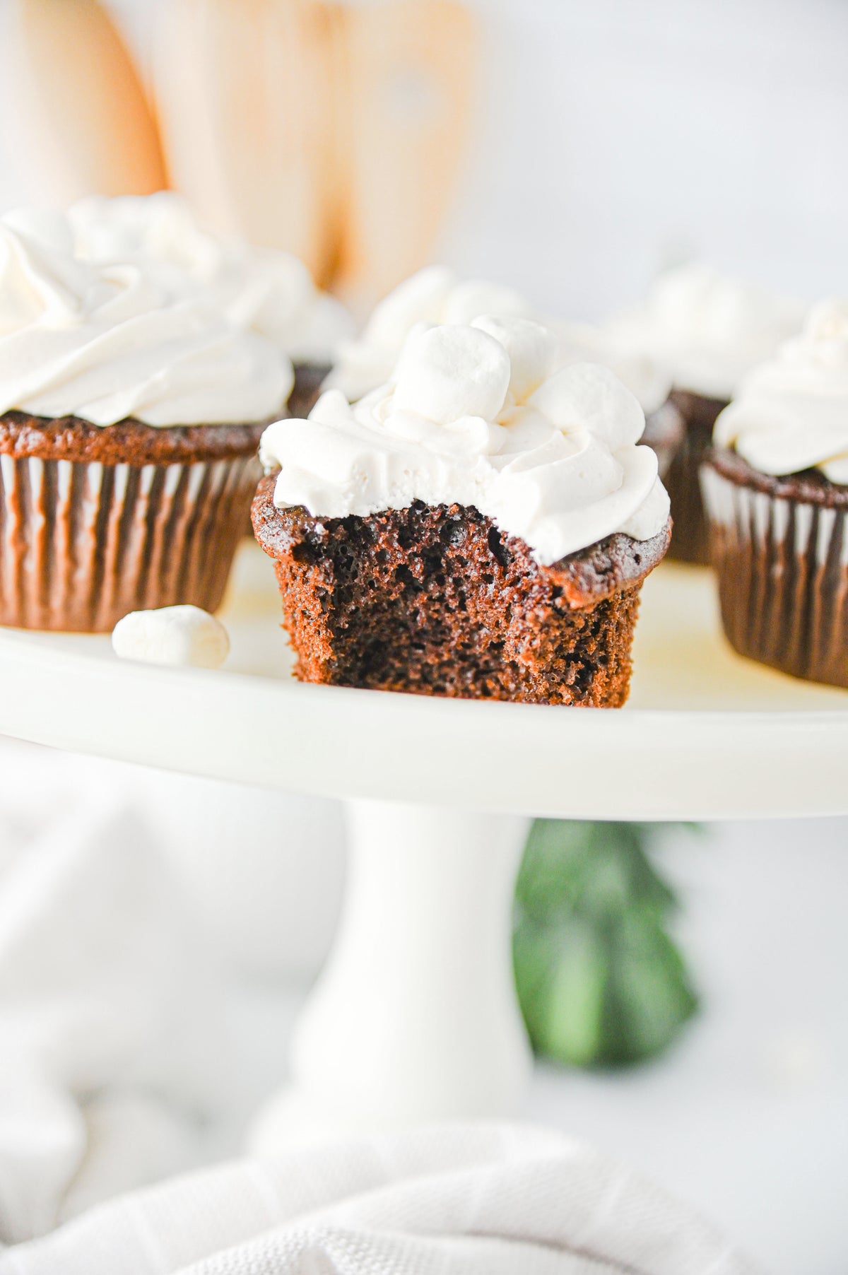 Hot Chocolate Cupcakes Set #5