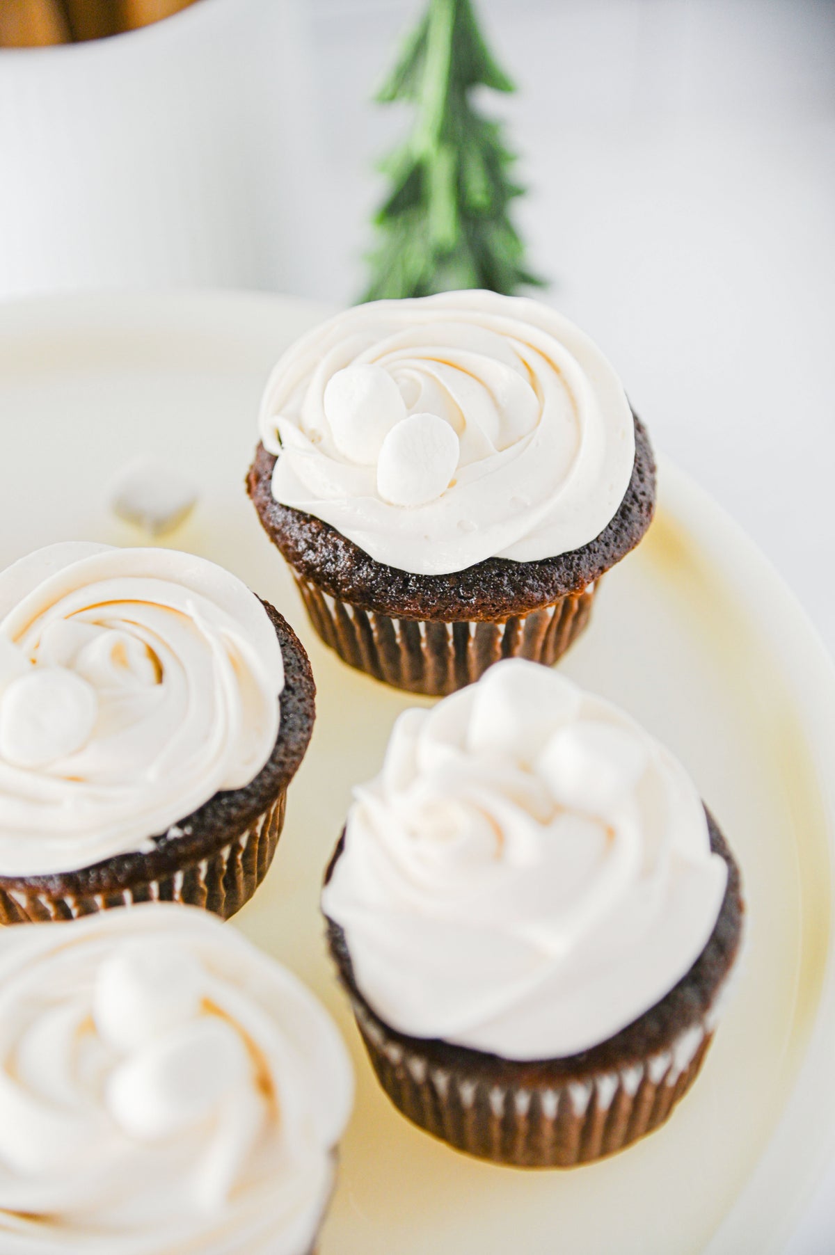 Hot Chocolate Cupcakes Set #5