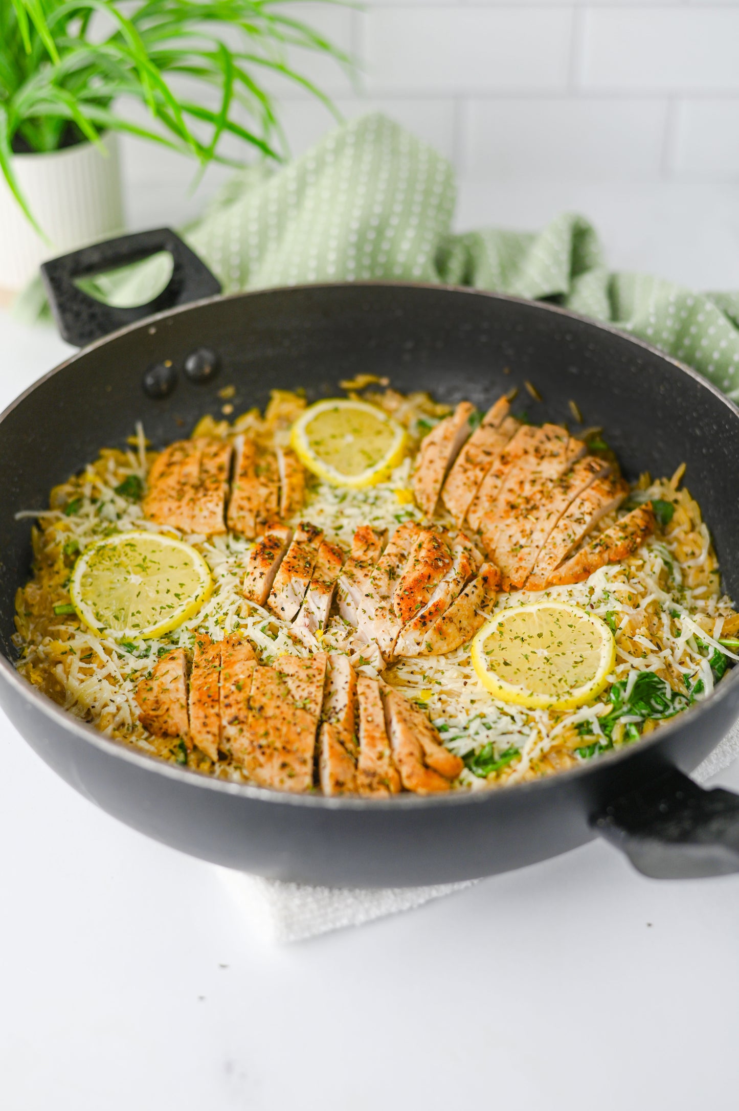 Lemon Chicken Orzo Set #5