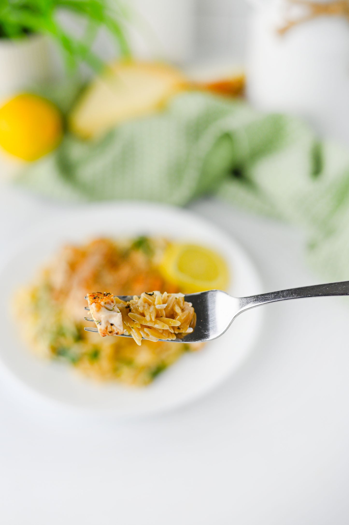 Lemon Chicken Orzo Set #5