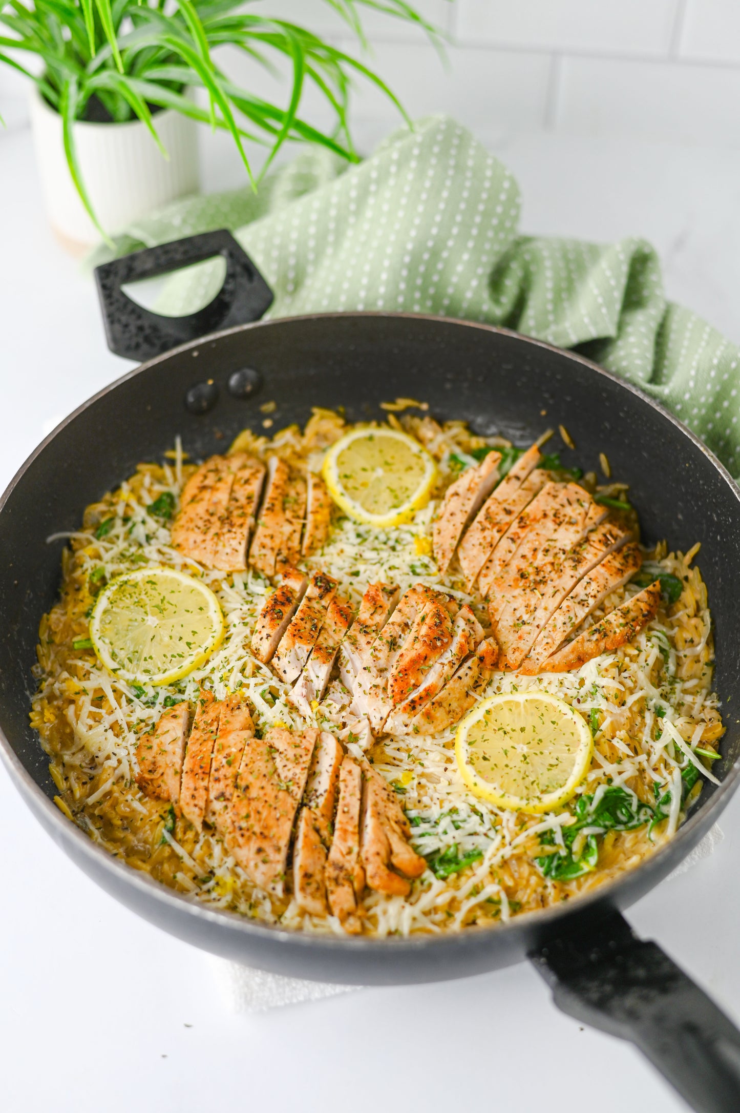 Lemon Chicken Orzo Set #5