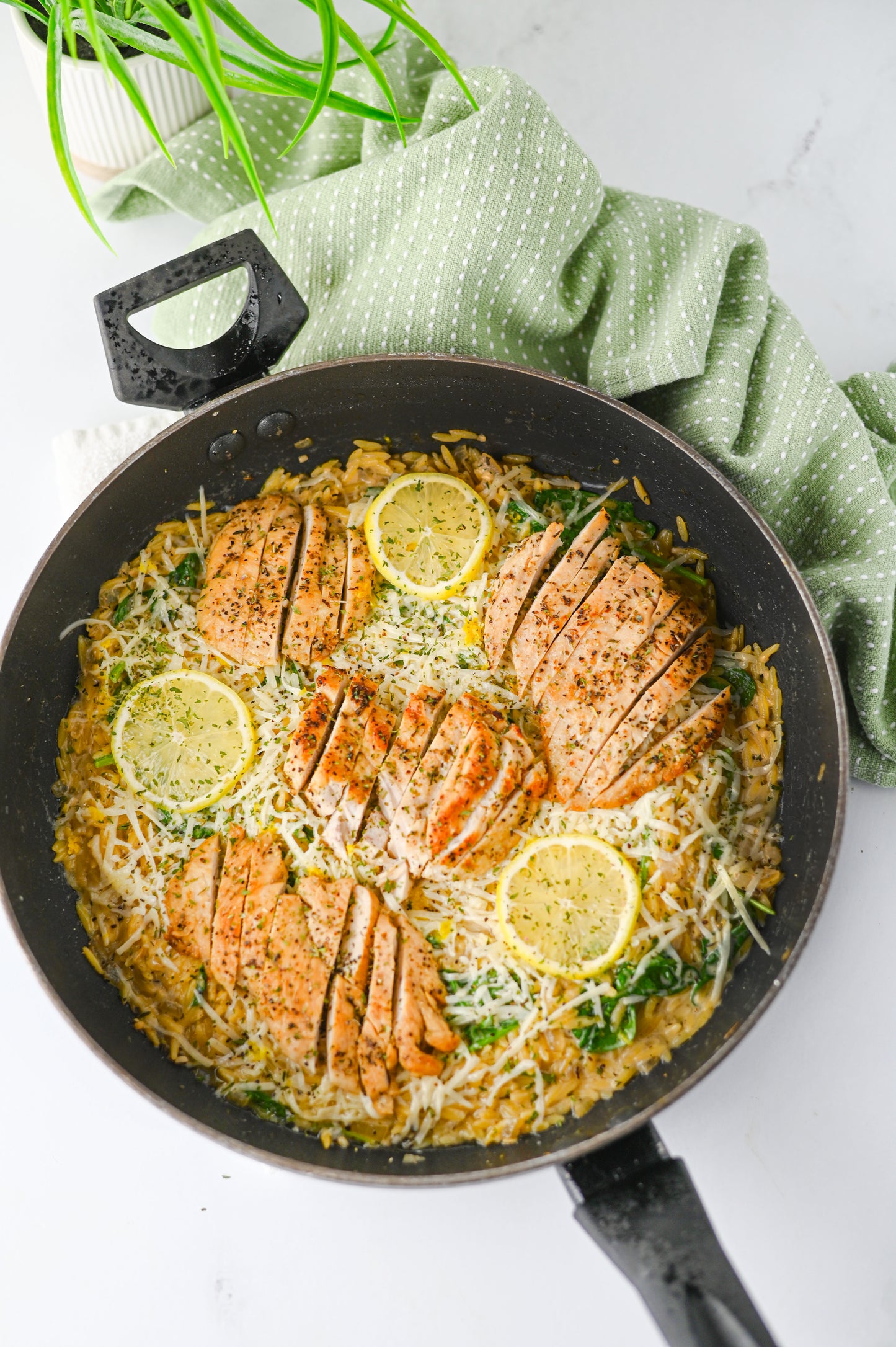Lemon Chicken Orzo Set #5