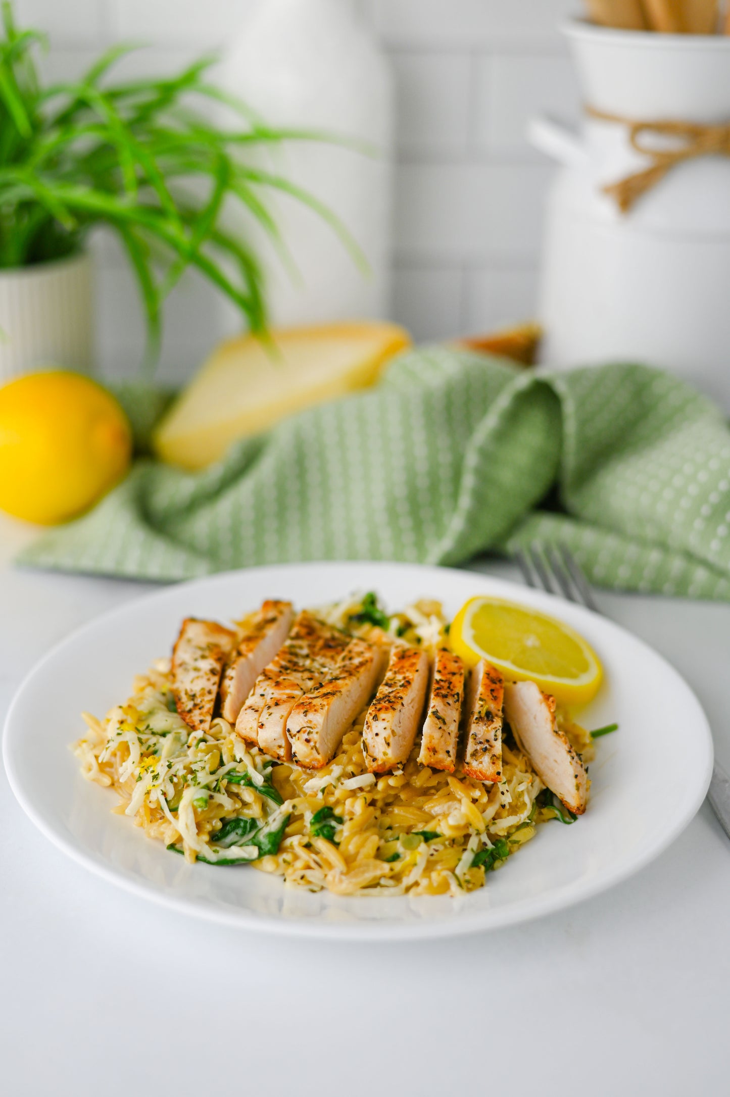Lemon Chicken Orzo Set #5