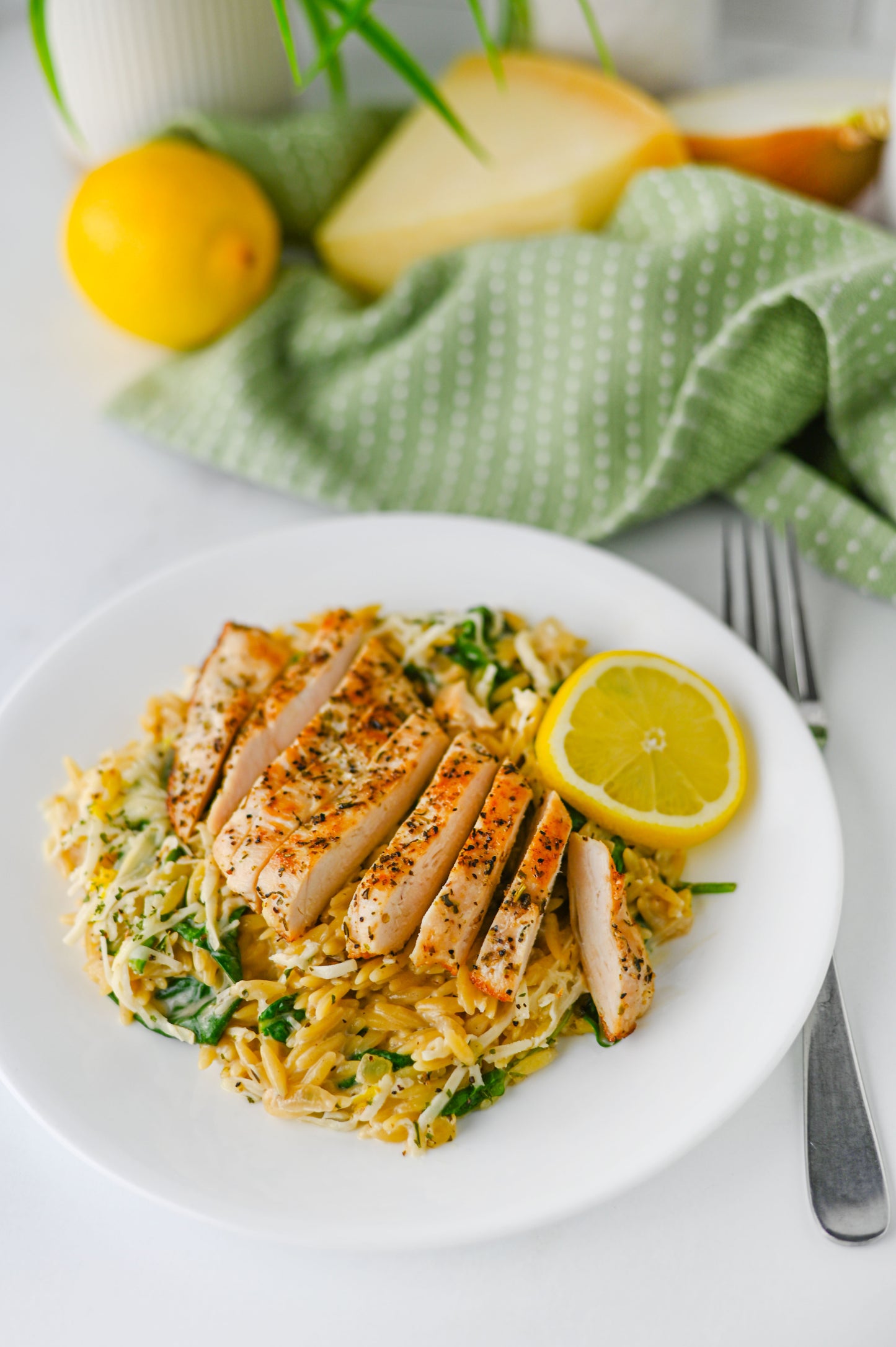 Lemon Chicken Orzo Set #5