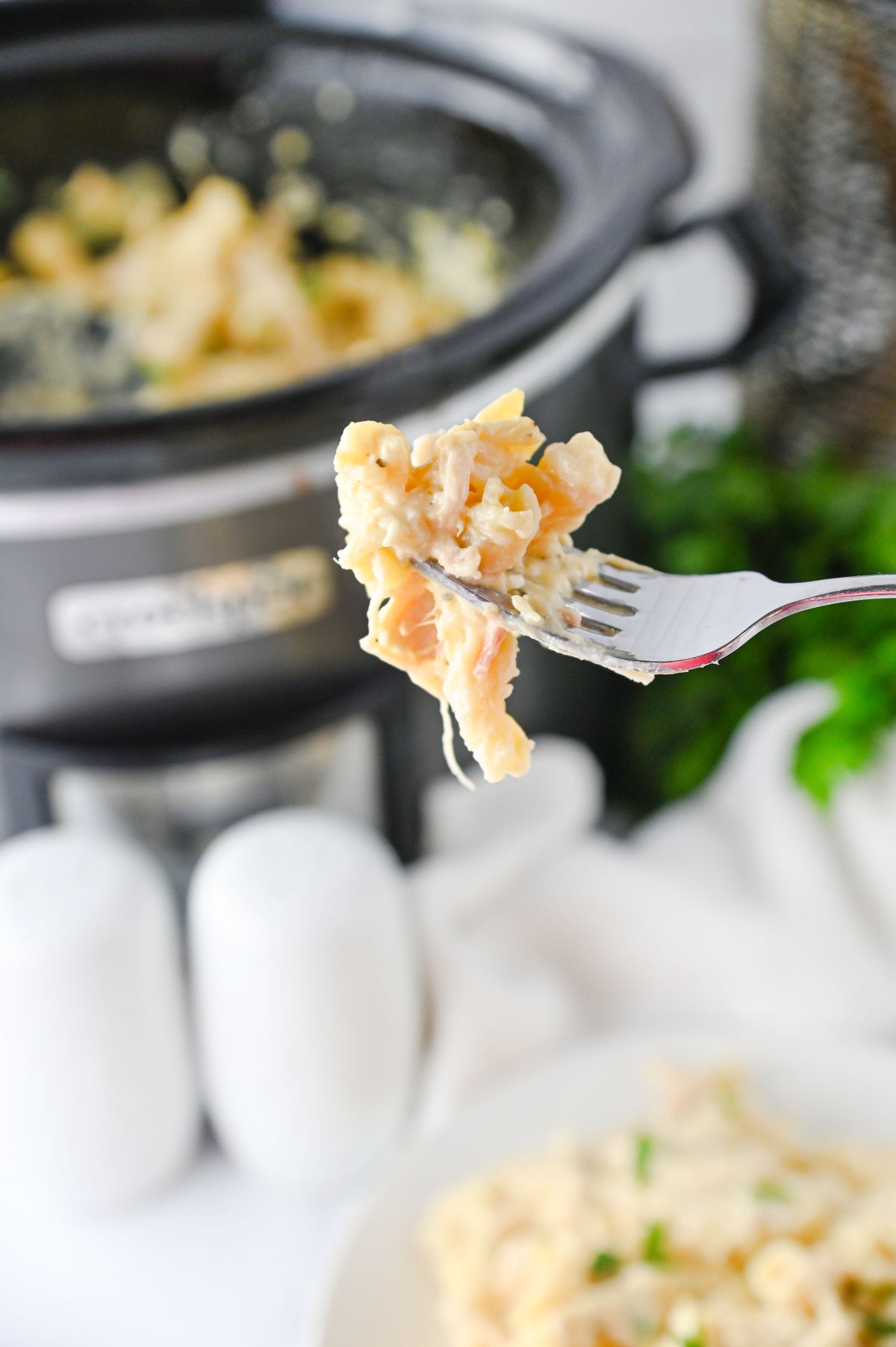 Slow Cooker Ranch Chicken Set #5