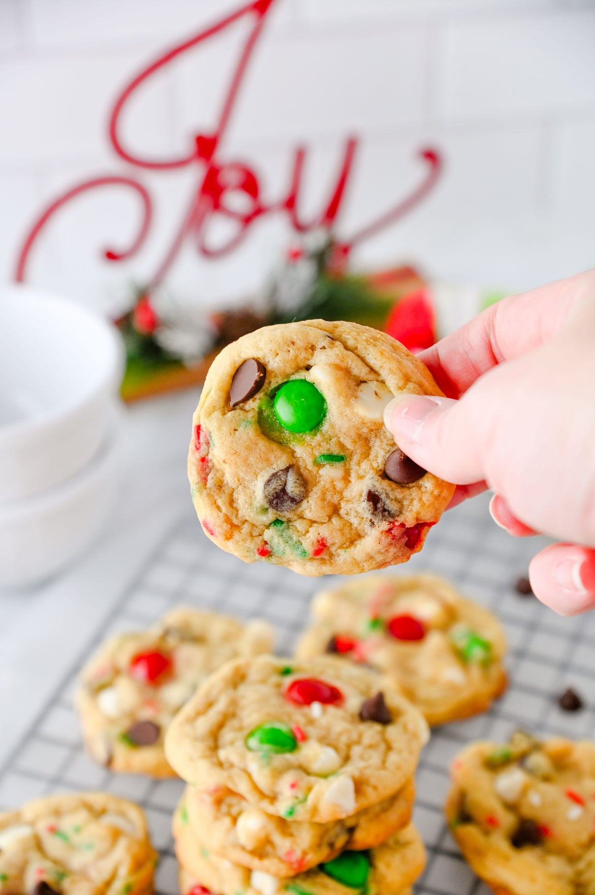 Santa's Favorite Cookies Set #5