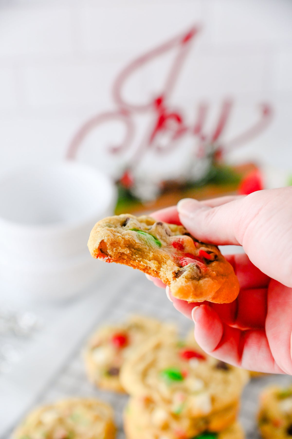 Santa's Favorite Cookies Set #5