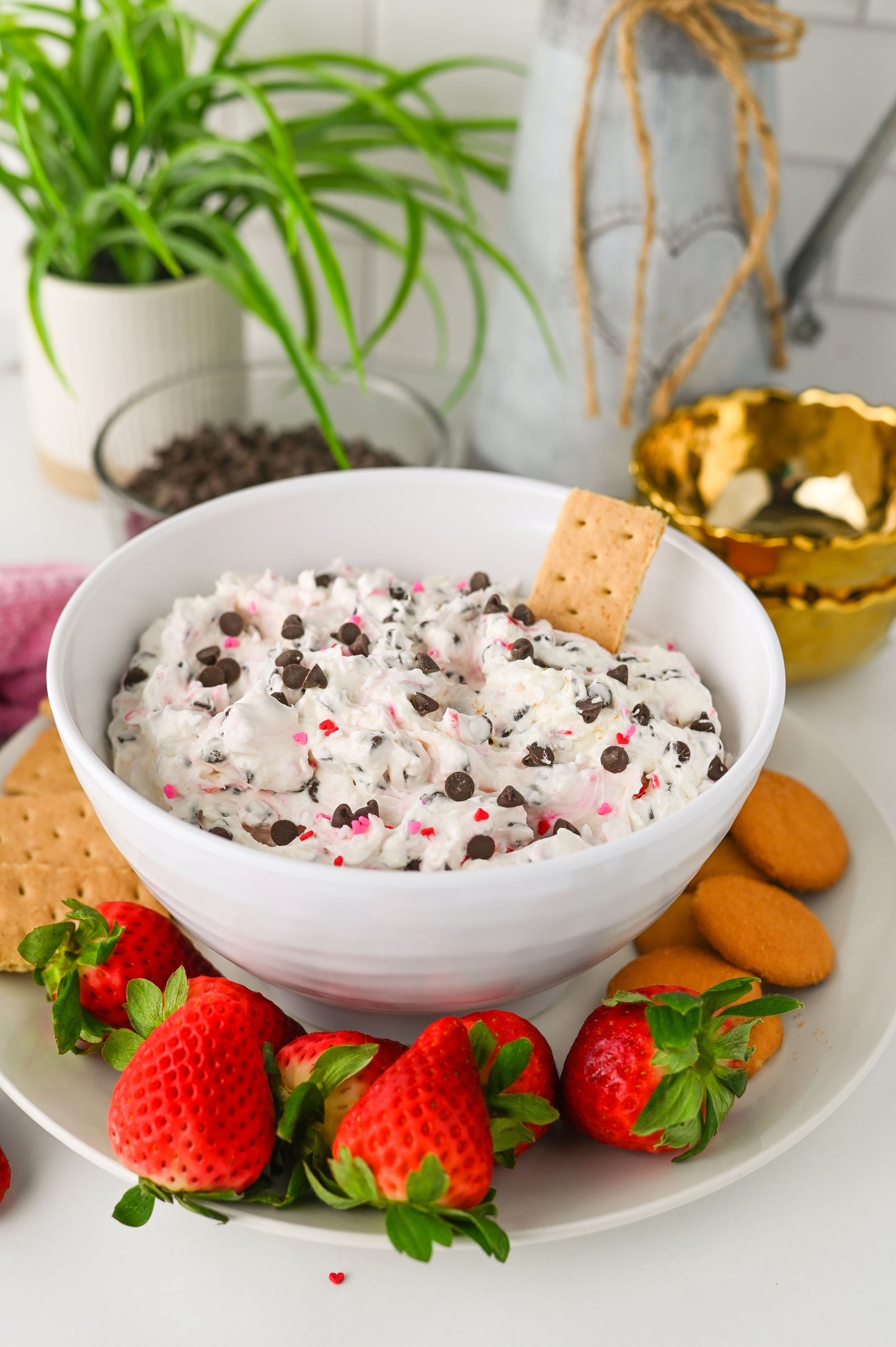 Valentine's Booty Dip Set #5