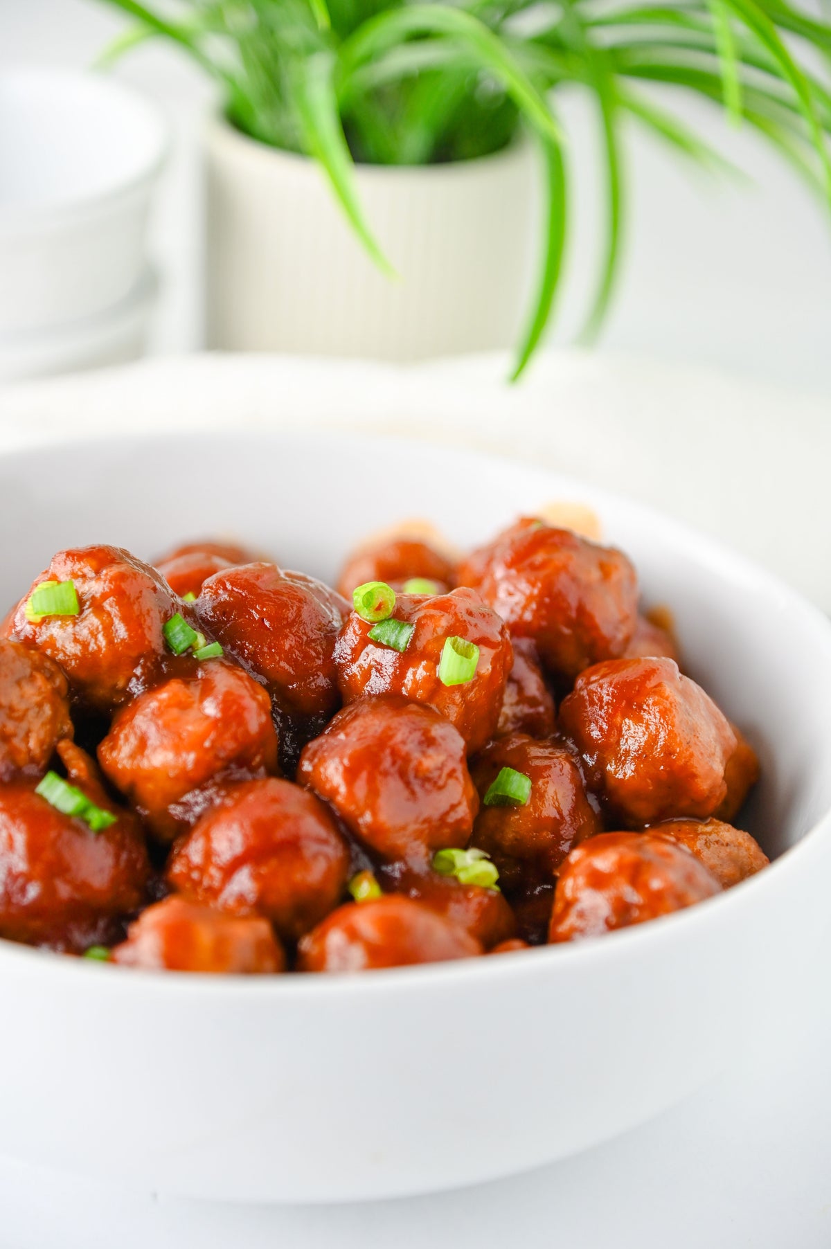 Cranberry Meatballs Set #6