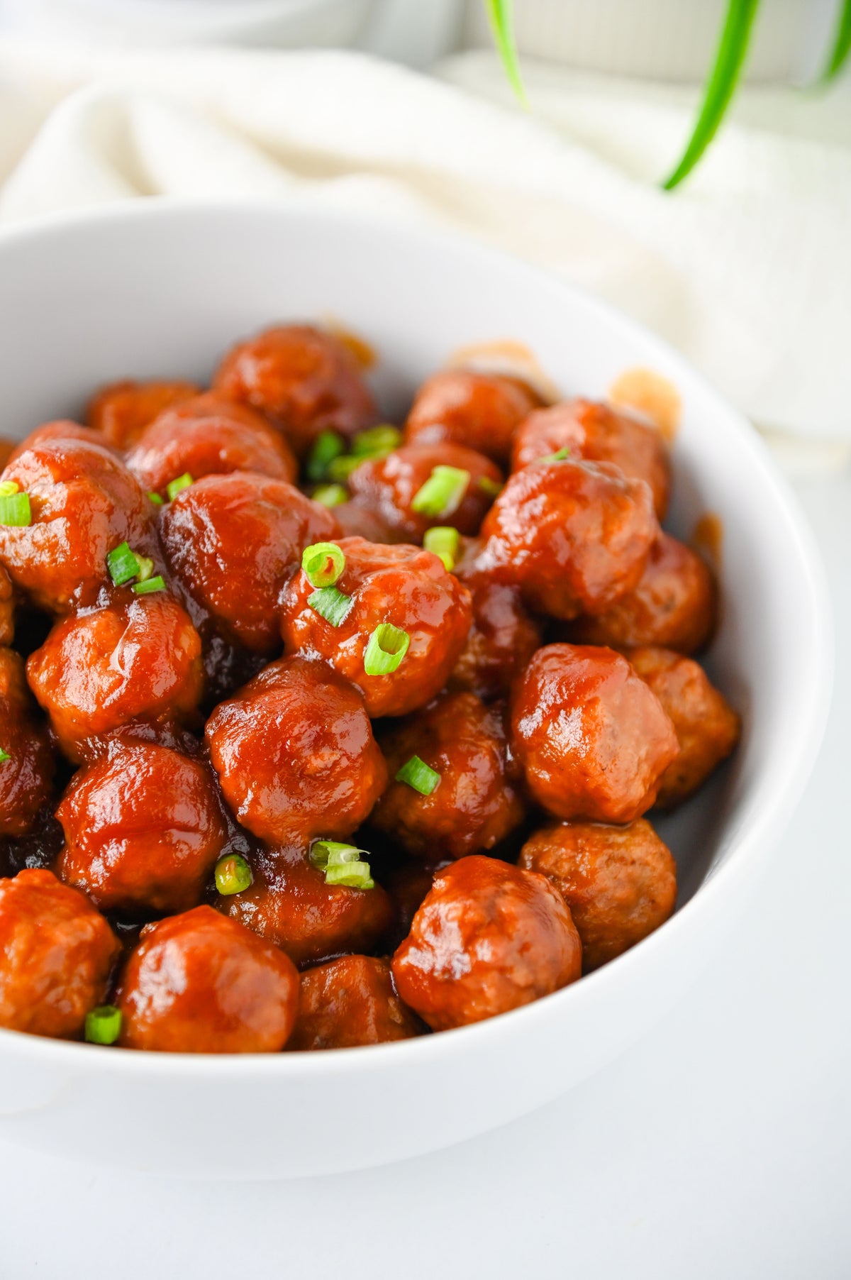 Cranberry Meatballs Set #6