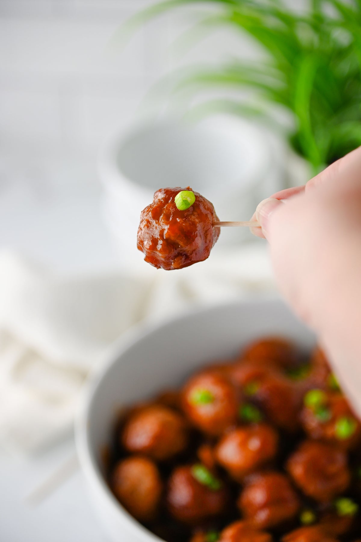 Cranberry Meatballs Set #6