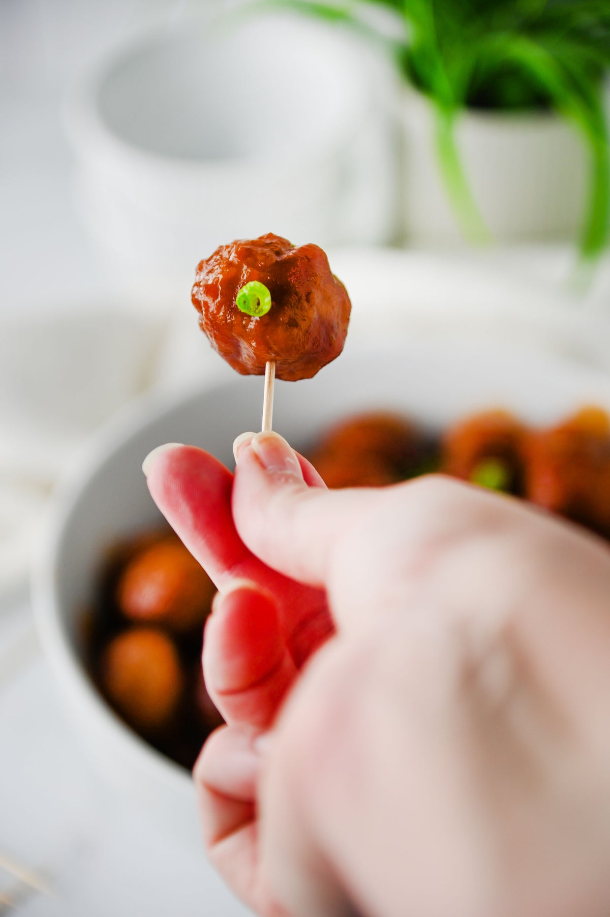 Cranberry Meatballs Set #6
