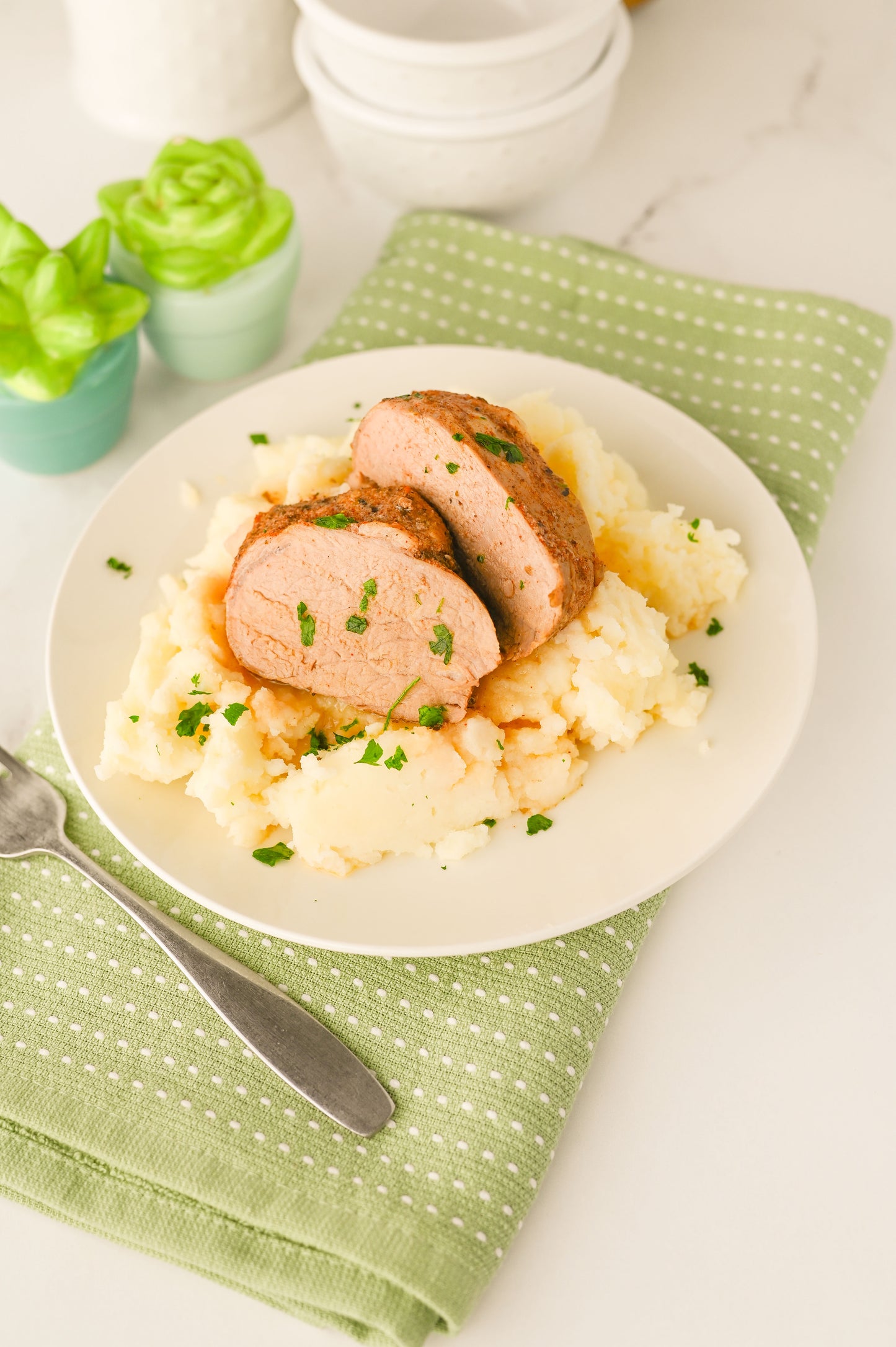 Crock Pot Pork Tenderloin Set #6