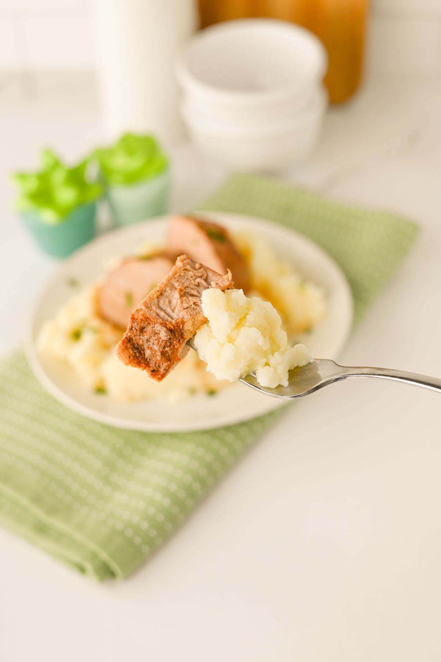 Crock Pot Pork Tenderloin Set #6