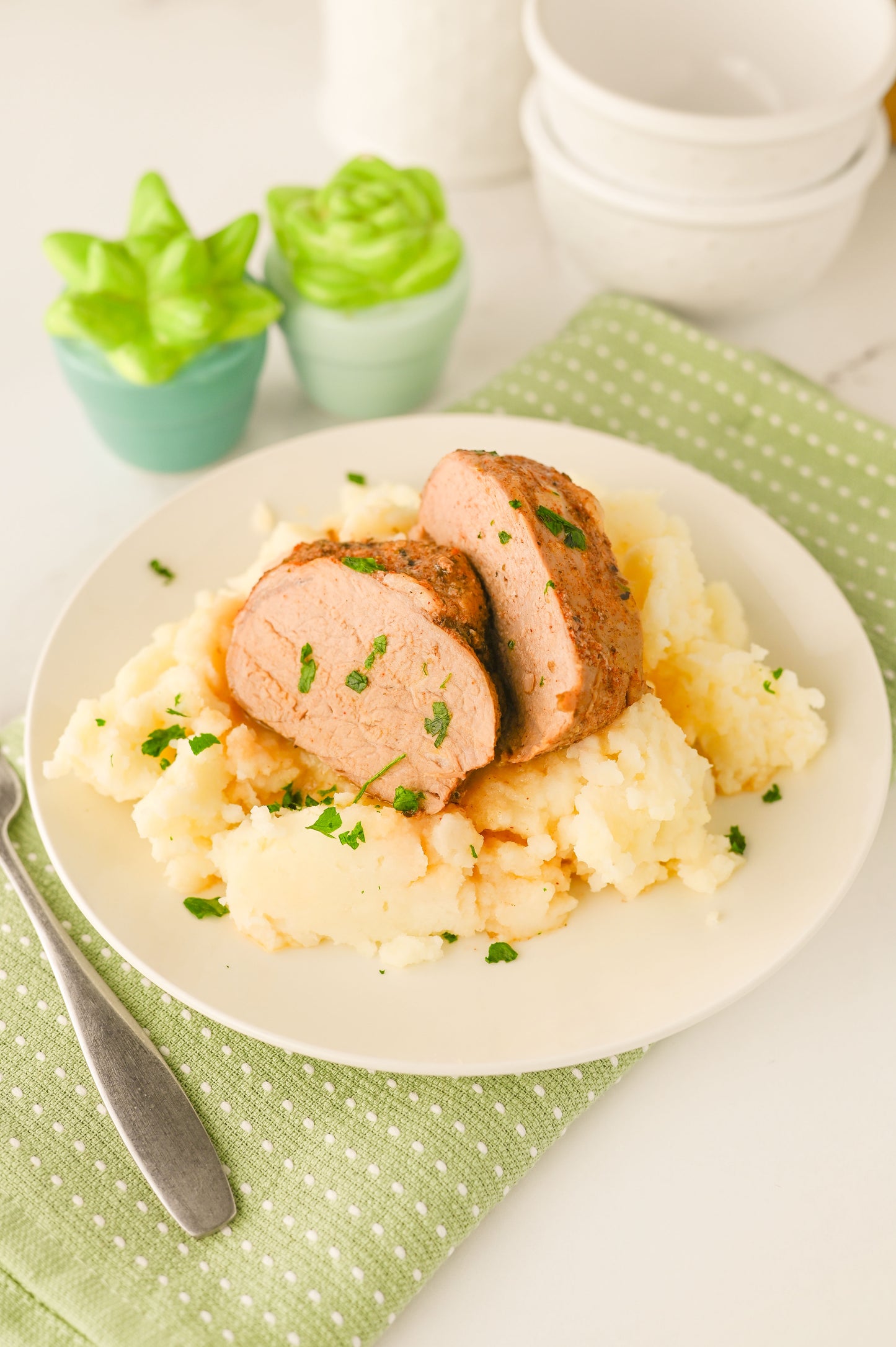 Crock Pot Pork Tenderloin Set #6