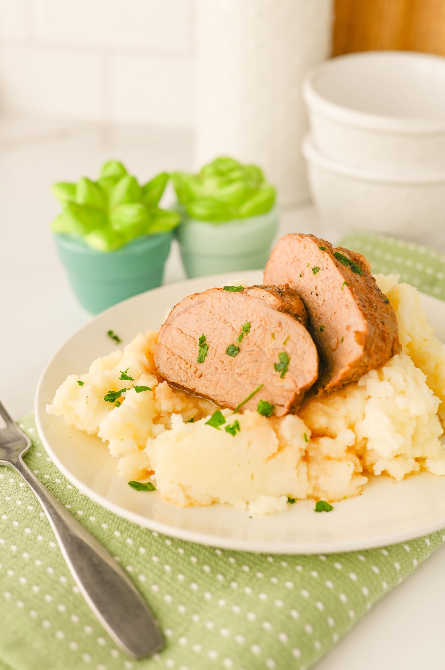 Crock Pot Pork Tenderloin Set #6