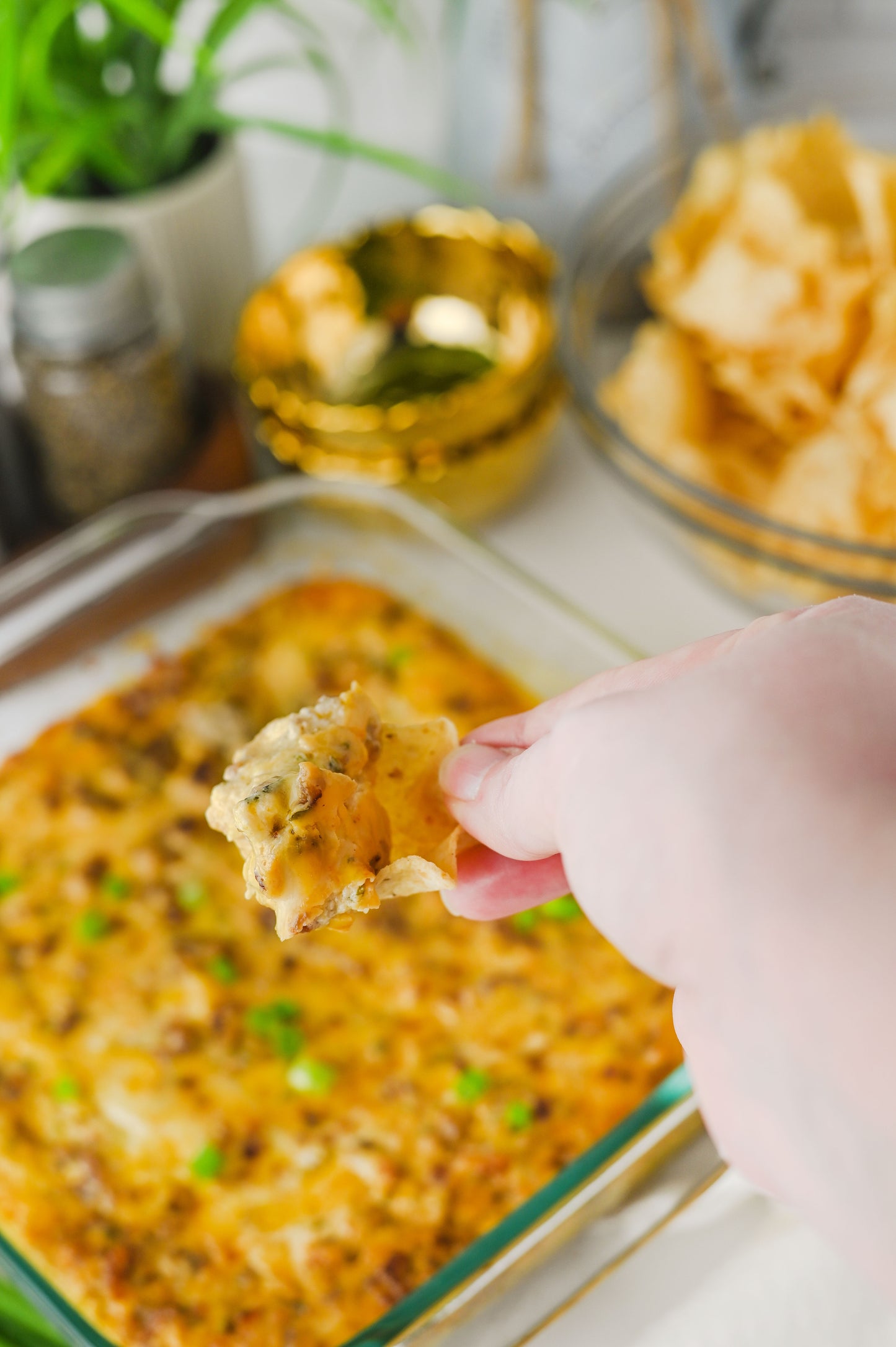 Hissy Fit Dip Set #6