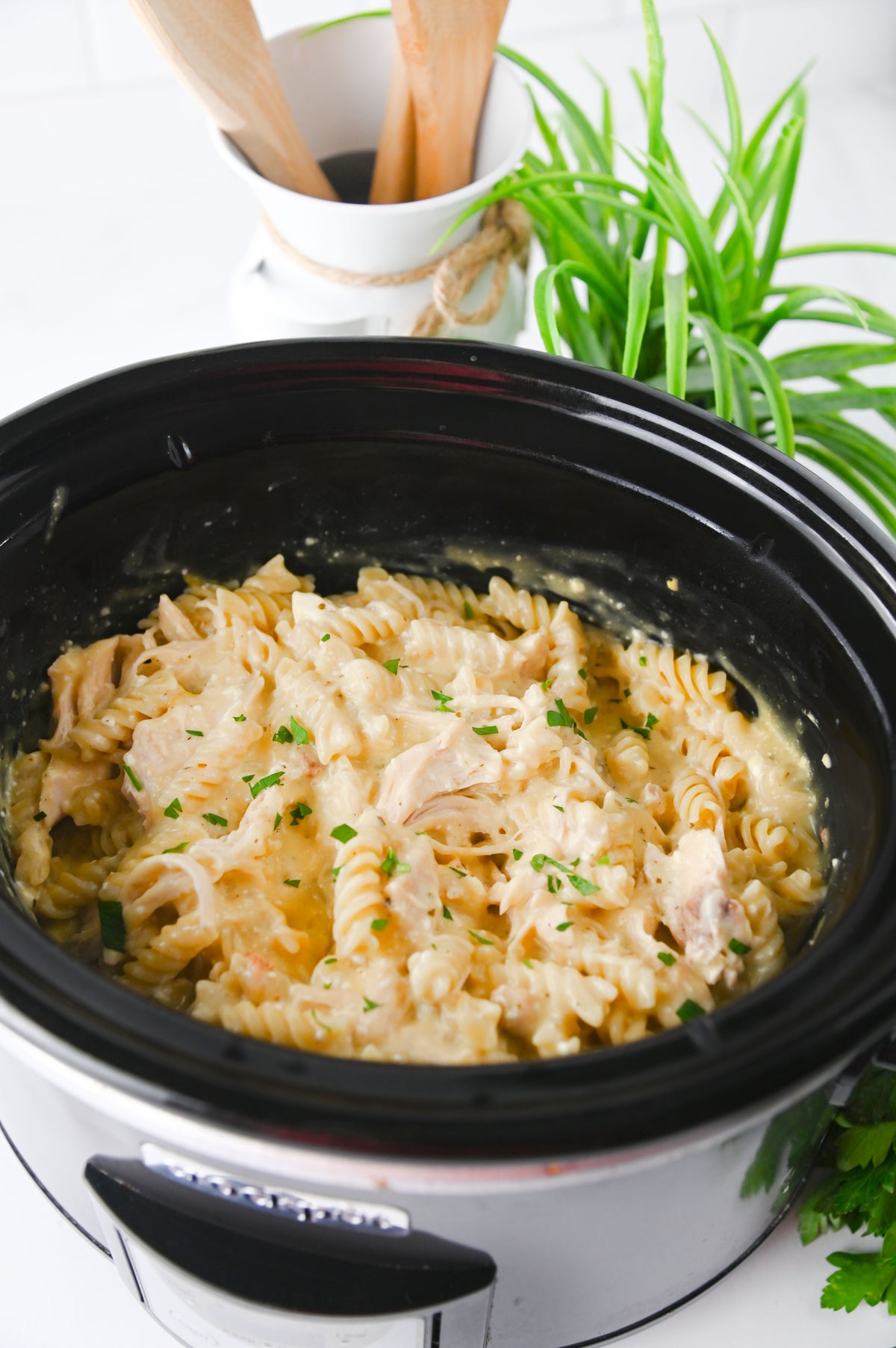 Slow Cooker Ranch Chicken Set #6