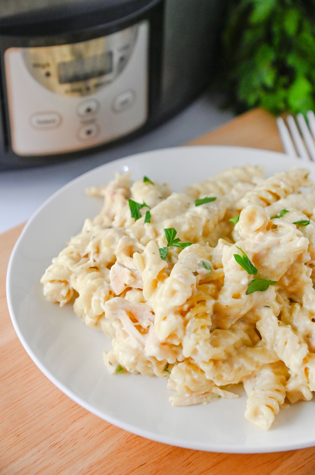 Slow Cooker Ranch Chicken Set #6