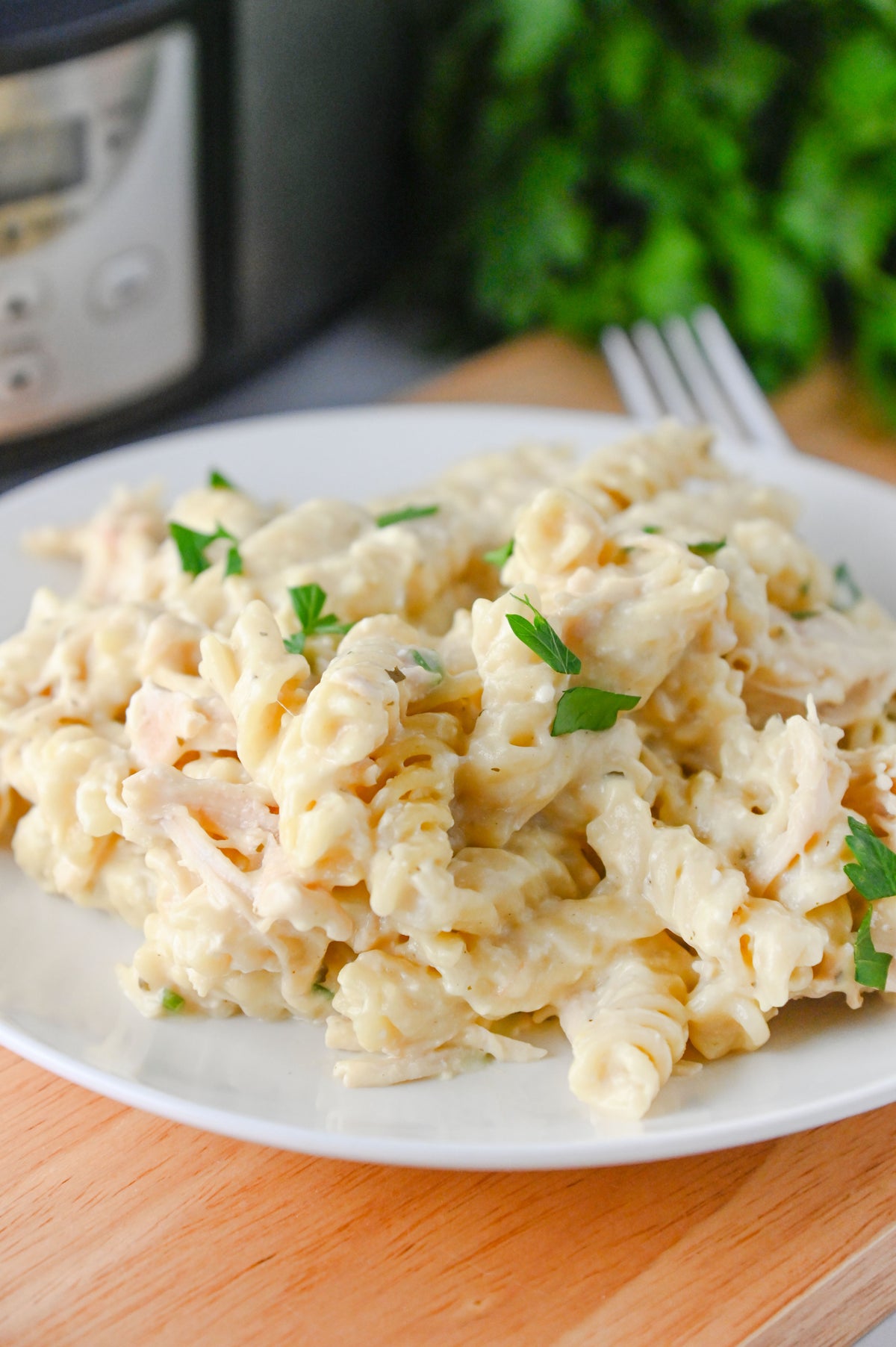 Slow Cooker Ranch Chicken Set #6