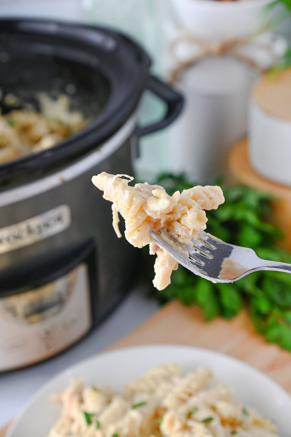 Slow Cooker Ranch Chicken Set #6