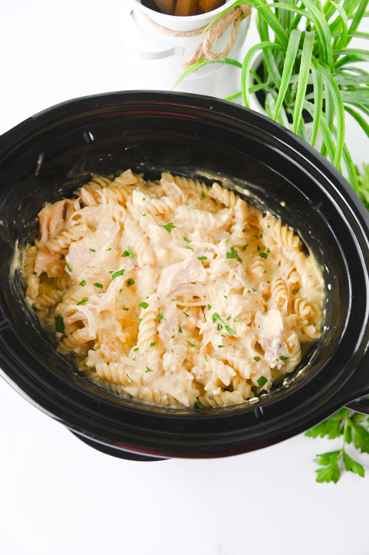 Slow Cooker Ranch Chicken Set #6