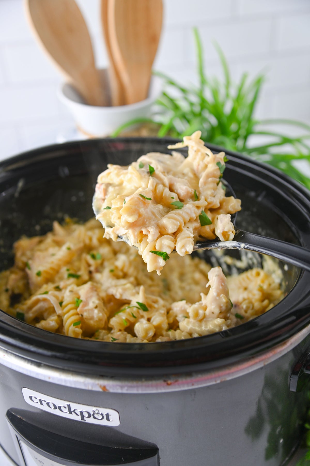 Slow Cooker Ranch Chicken Set #6
