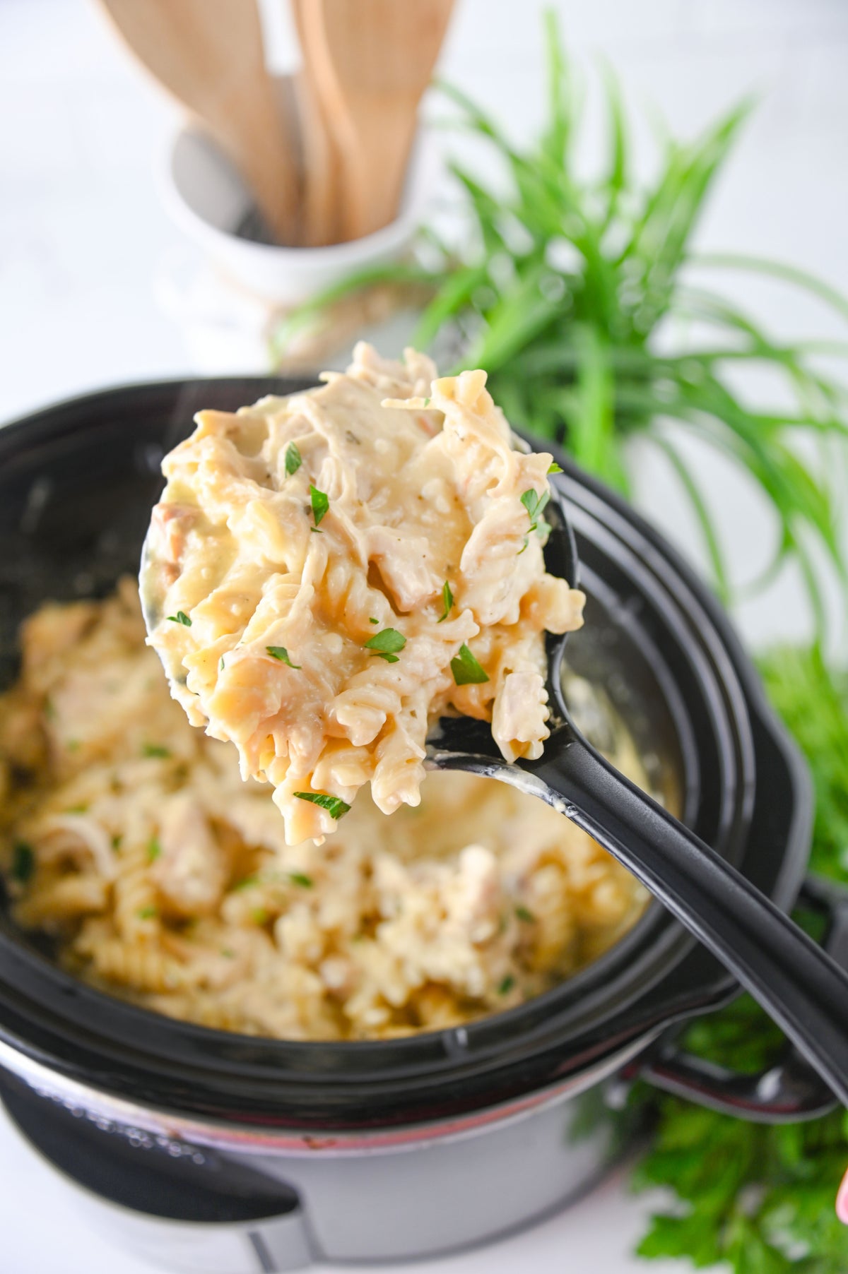Slow Cooker Ranch Chicken Set #6