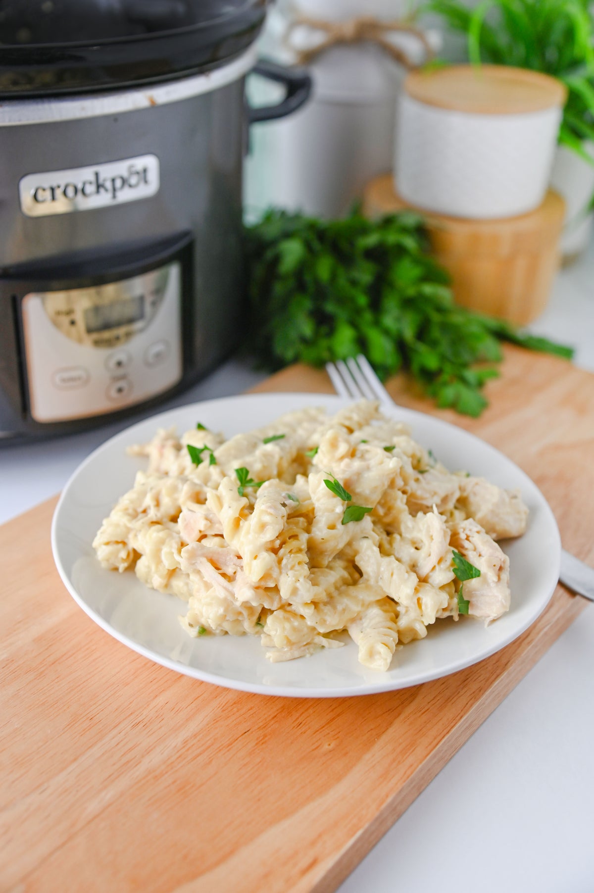 Slow Cooker Ranch Chicken Set #6