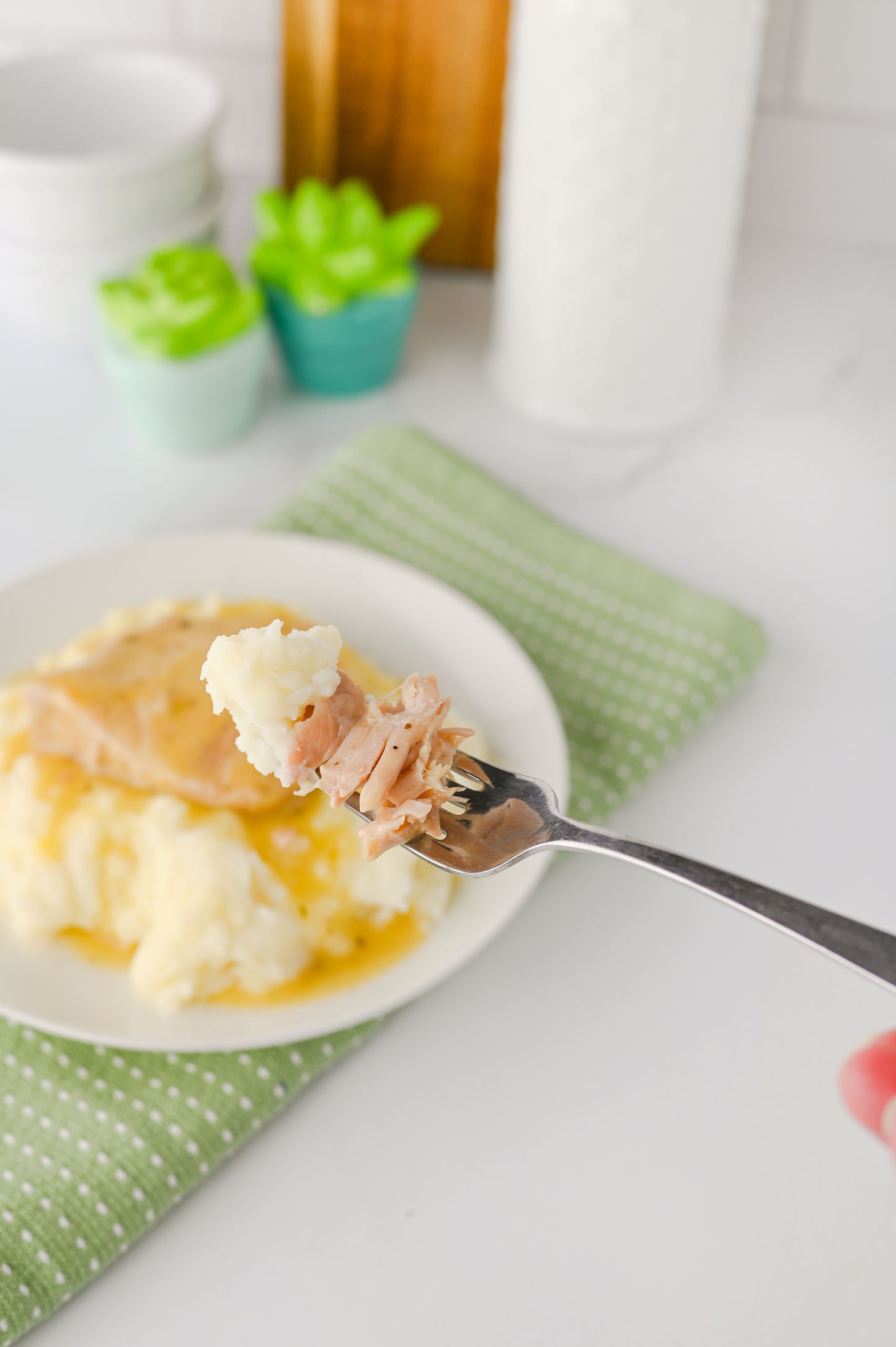 Crock Pot Ranch Pork Chops Set #6