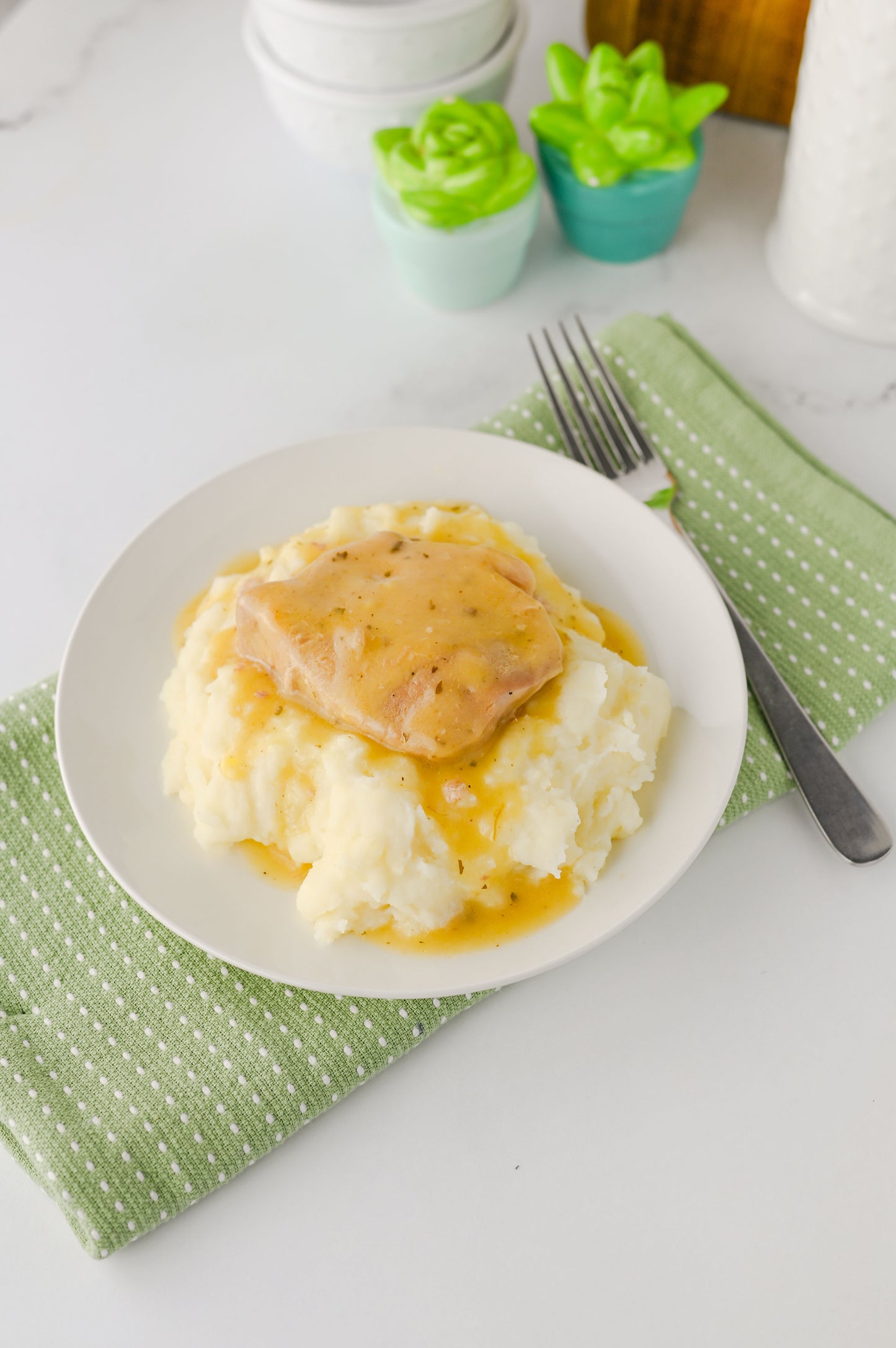 Crock Pot Ranch Pork Chops Set #6