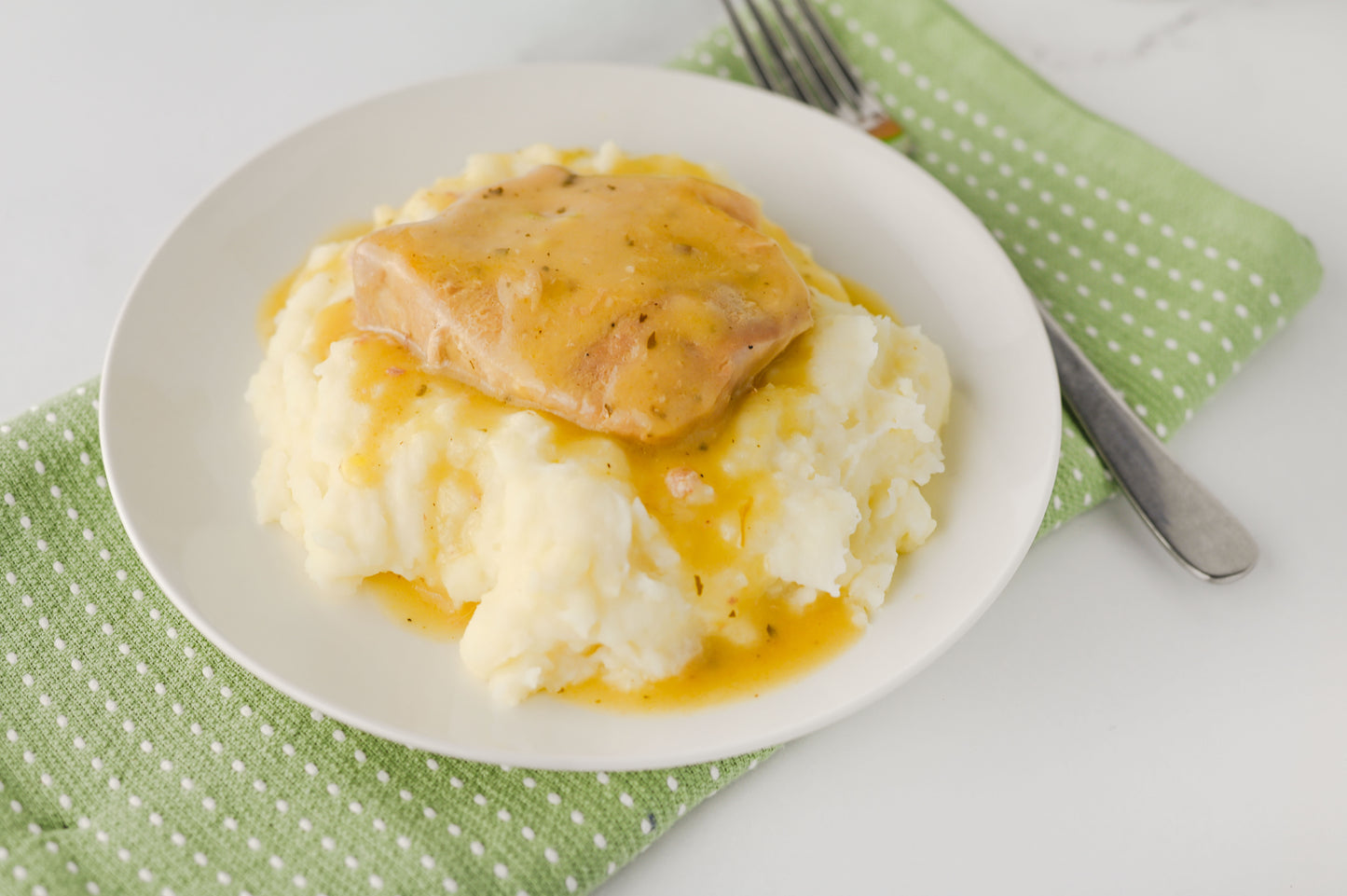 Crock Pot Ranch Pork Chops Set #6