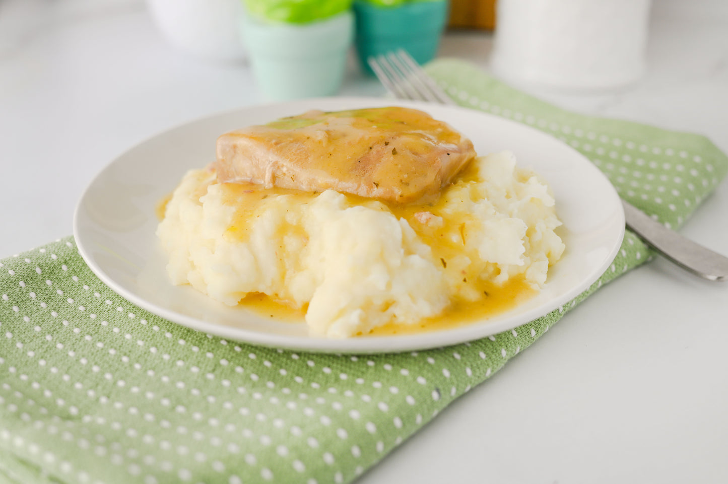 Crock Pot Ranch Pork Chops Set #6
