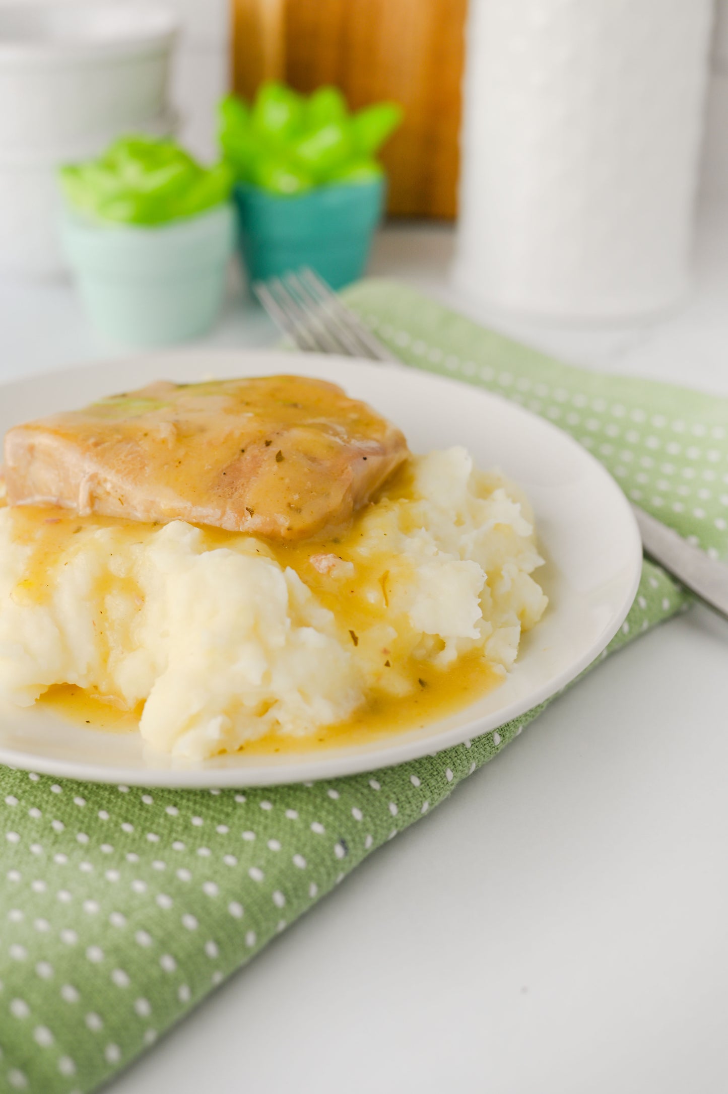 Crock Pot Ranch Pork Chops Set #6