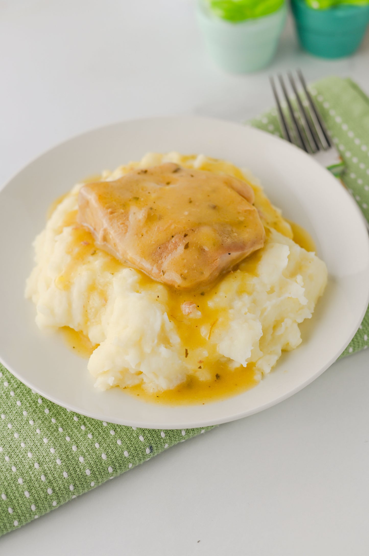 Crock Pot Ranch Pork Chops Set #6