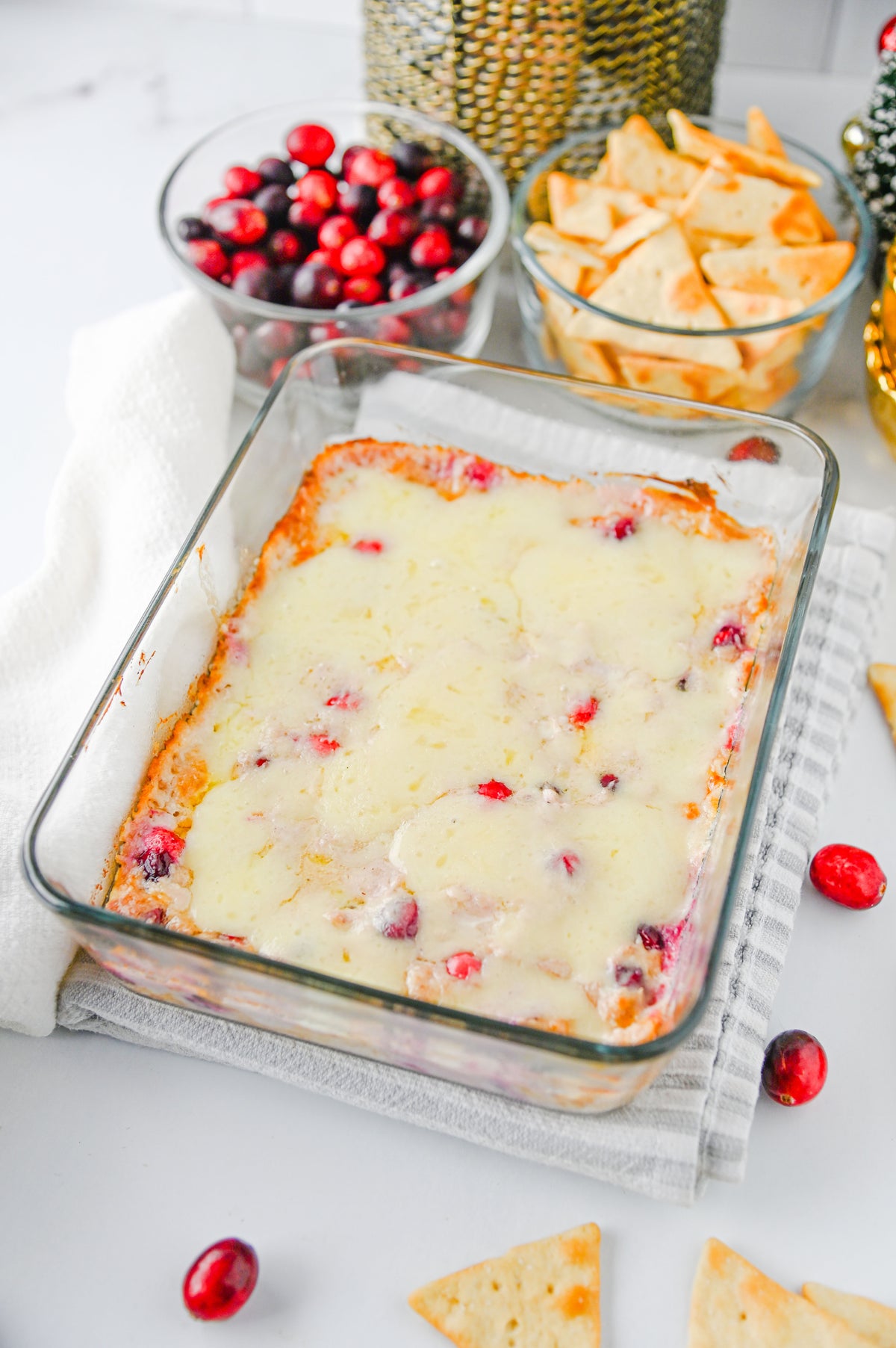 White Cheddar Cranberry Dip Set #6
