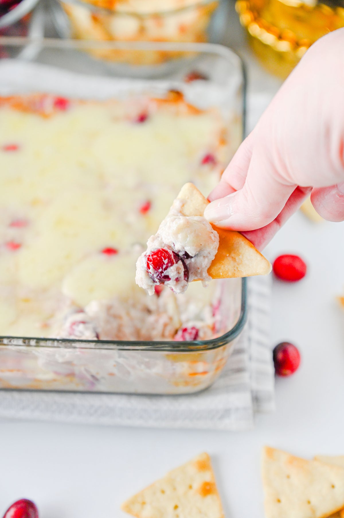 White Cheddar Cranberry Dip Set #6