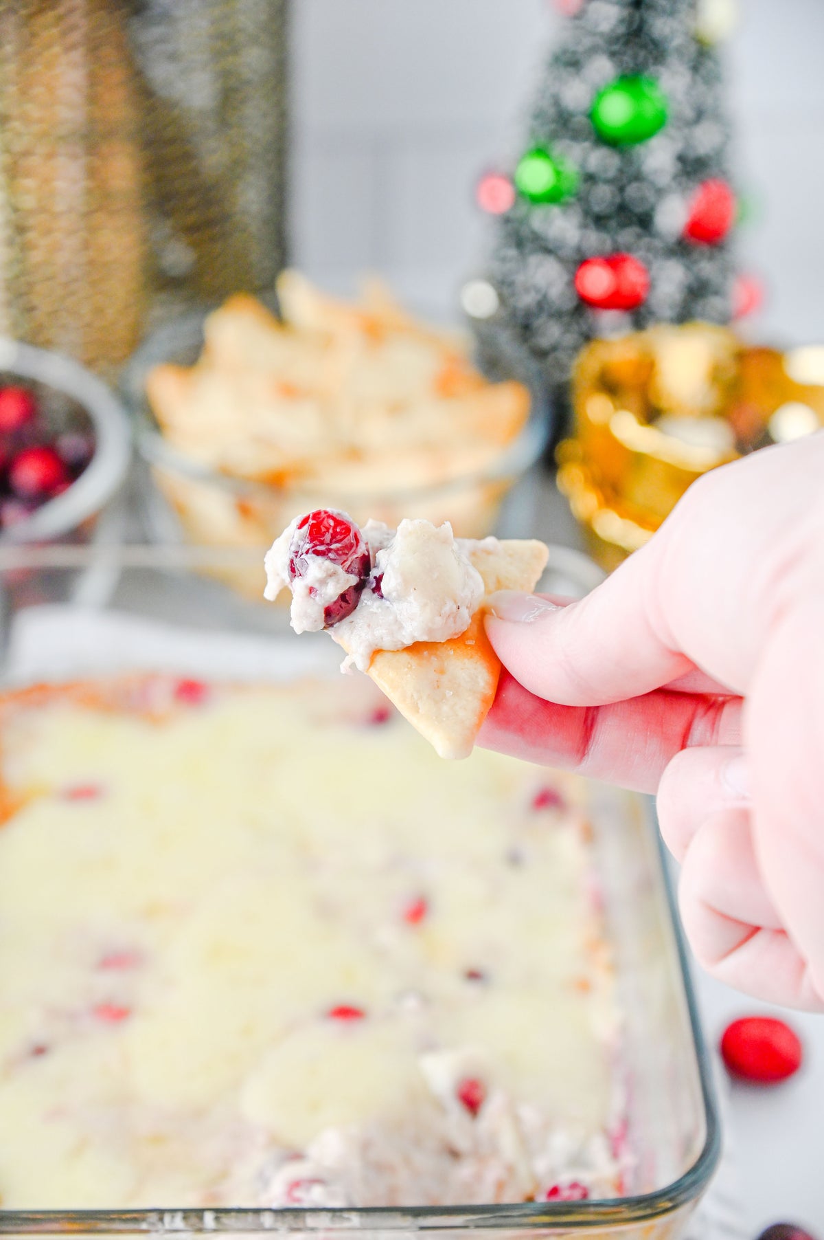 White Cheddar Cranberry Dip Set #6