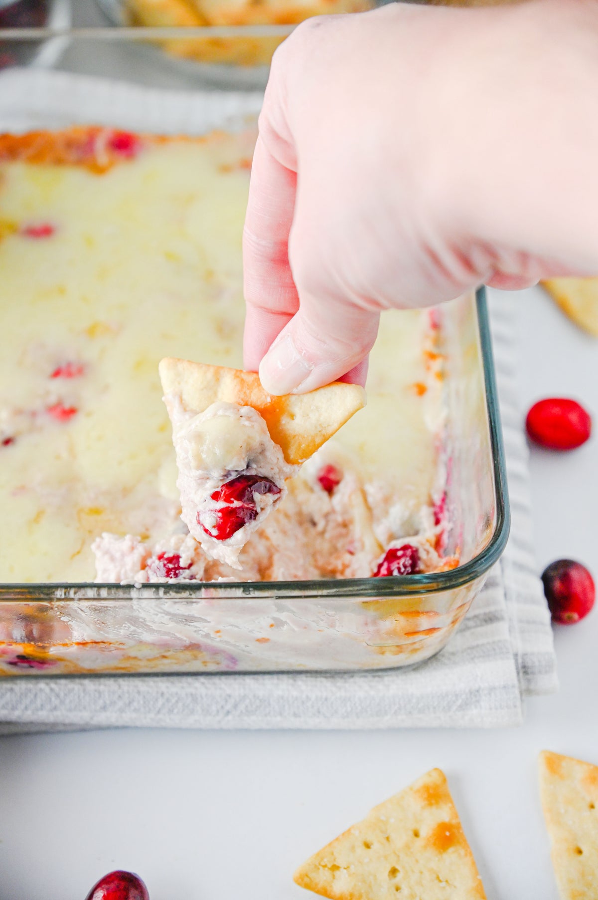 White Cheddar Cranberry Dip Set #6