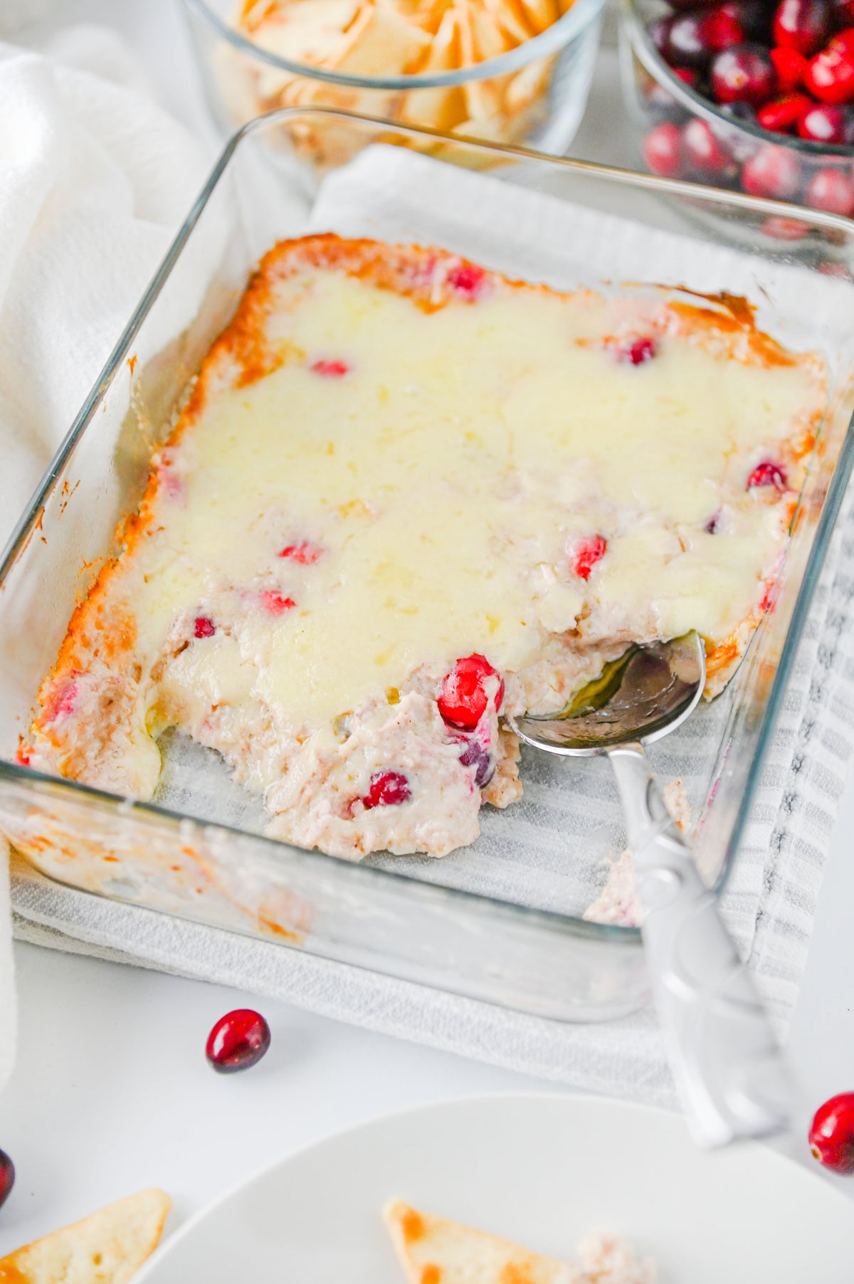 White Cheddar Cranberry Dip Set #6