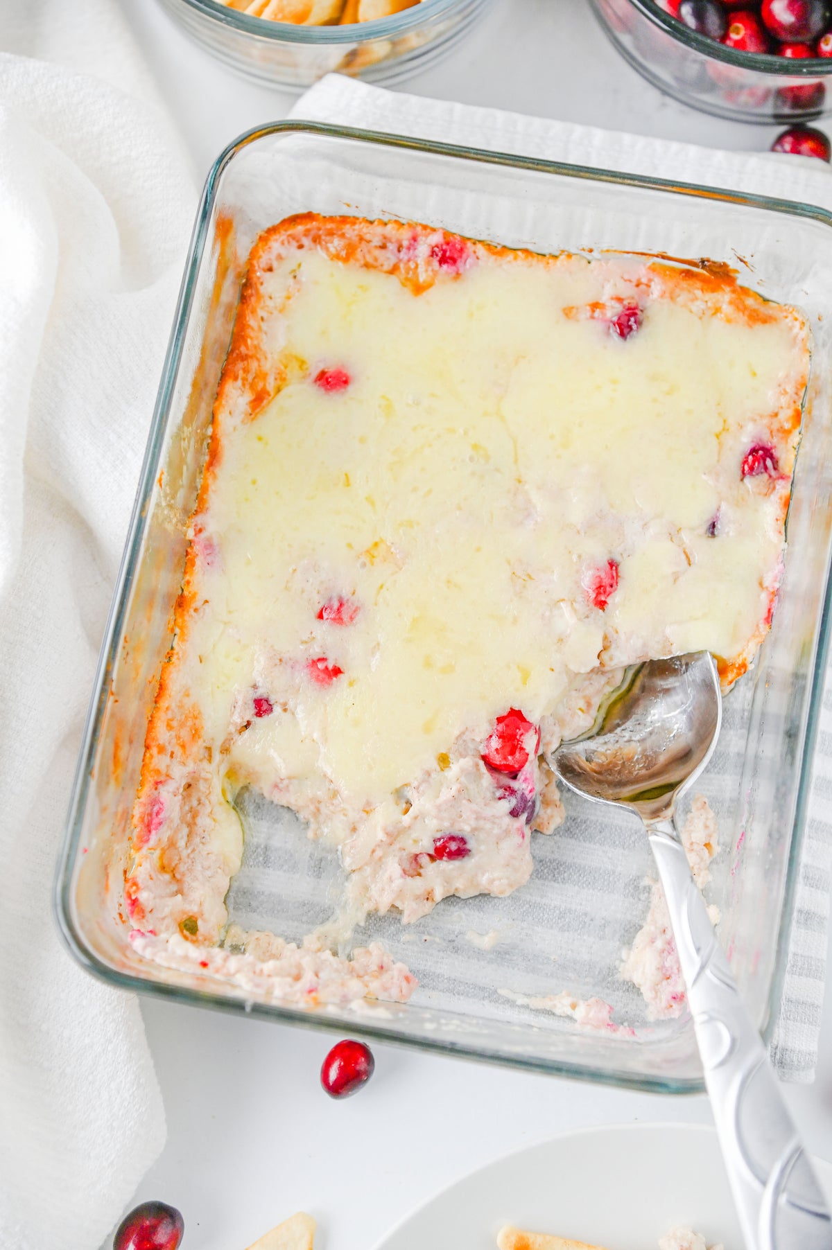 White Cheddar Cranberry Dip Set #6