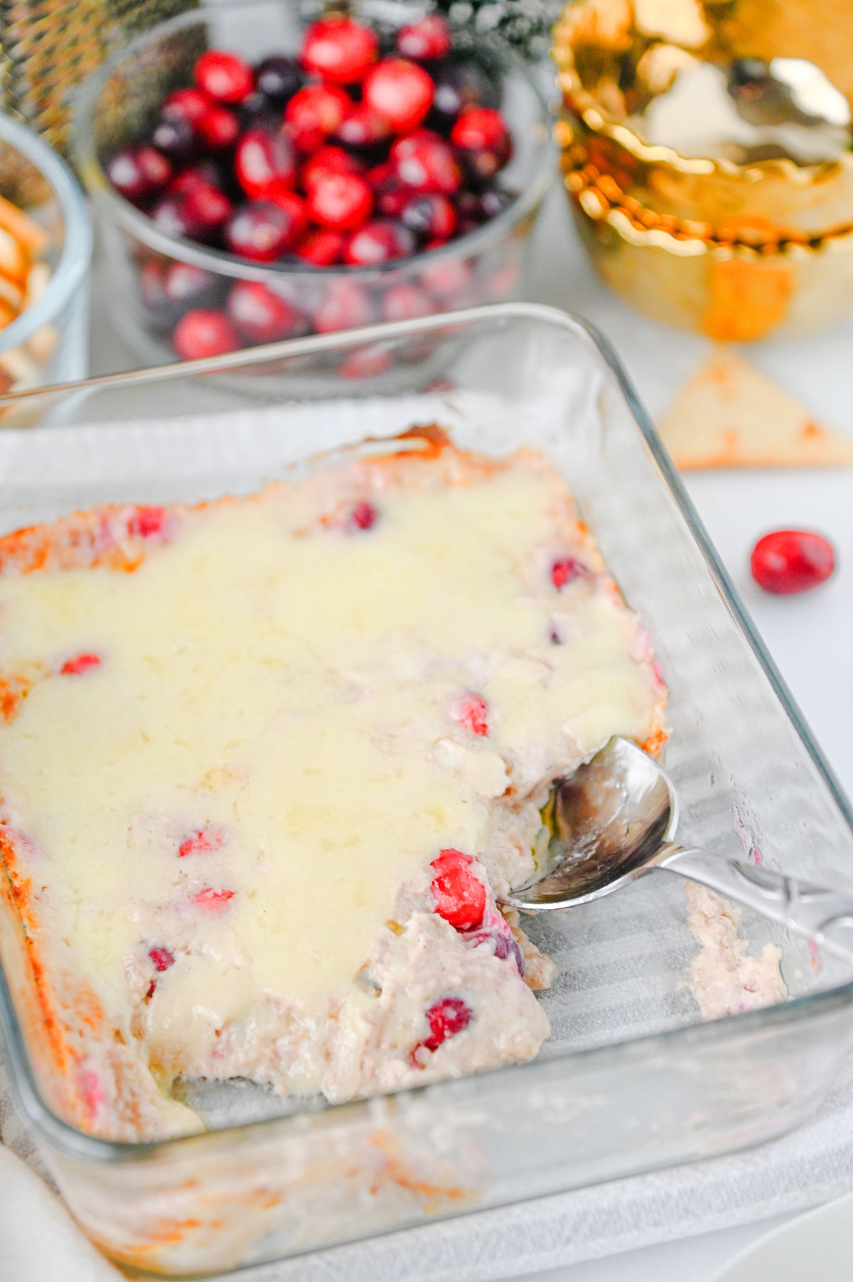 White Cheddar Cranberry Dip Set #6
