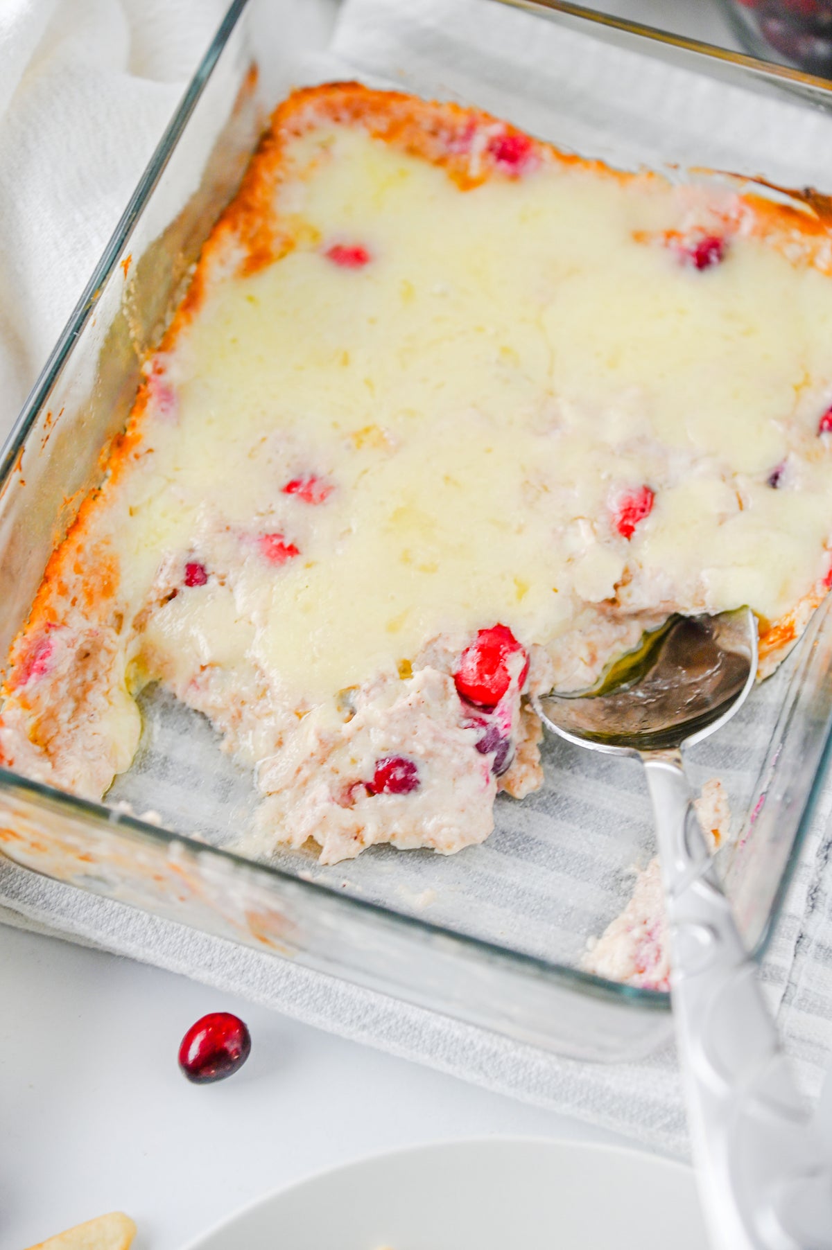 White Cheddar Cranberry Dip Set #6
