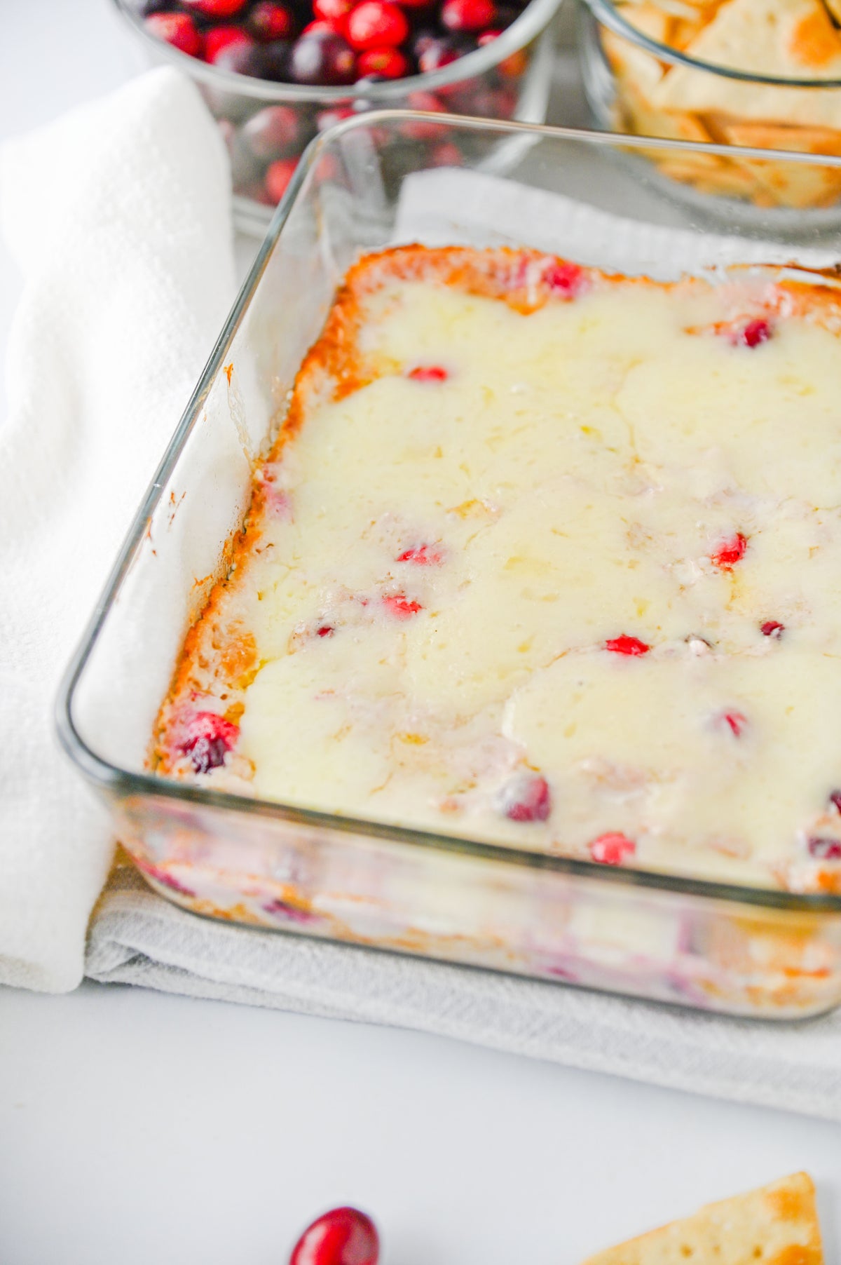 White Cheddar Cranberry Dip Set #6