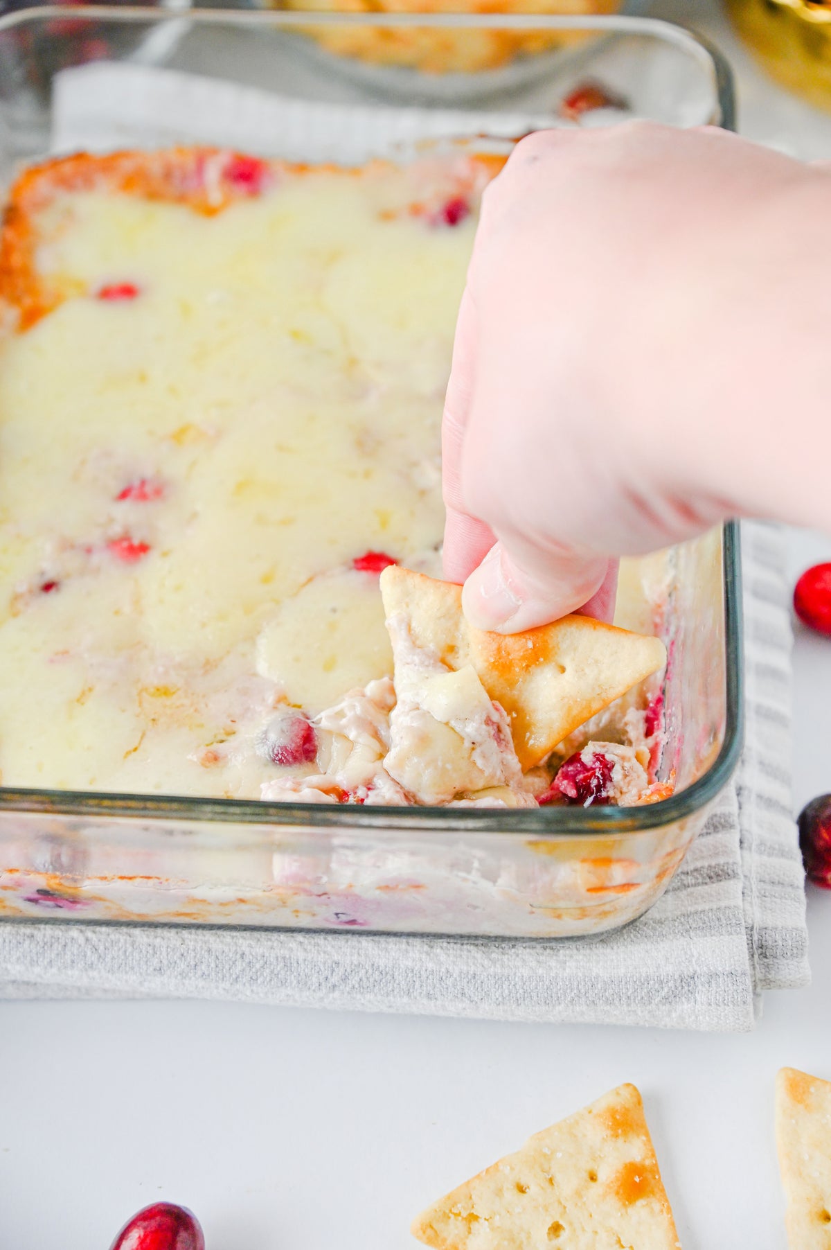 White Cheddar Cranberry Dip Set #6