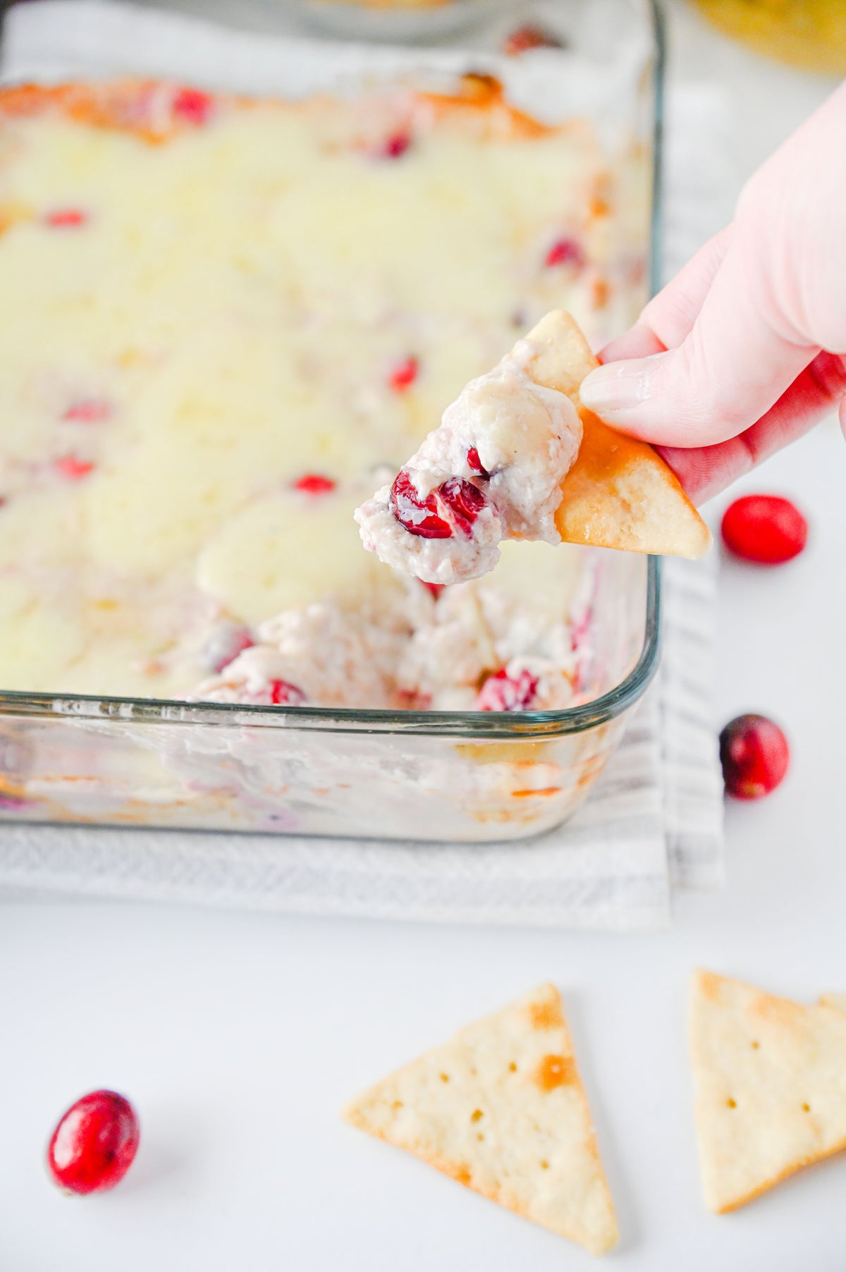 White Cheddar Cranberry Dip Set #6