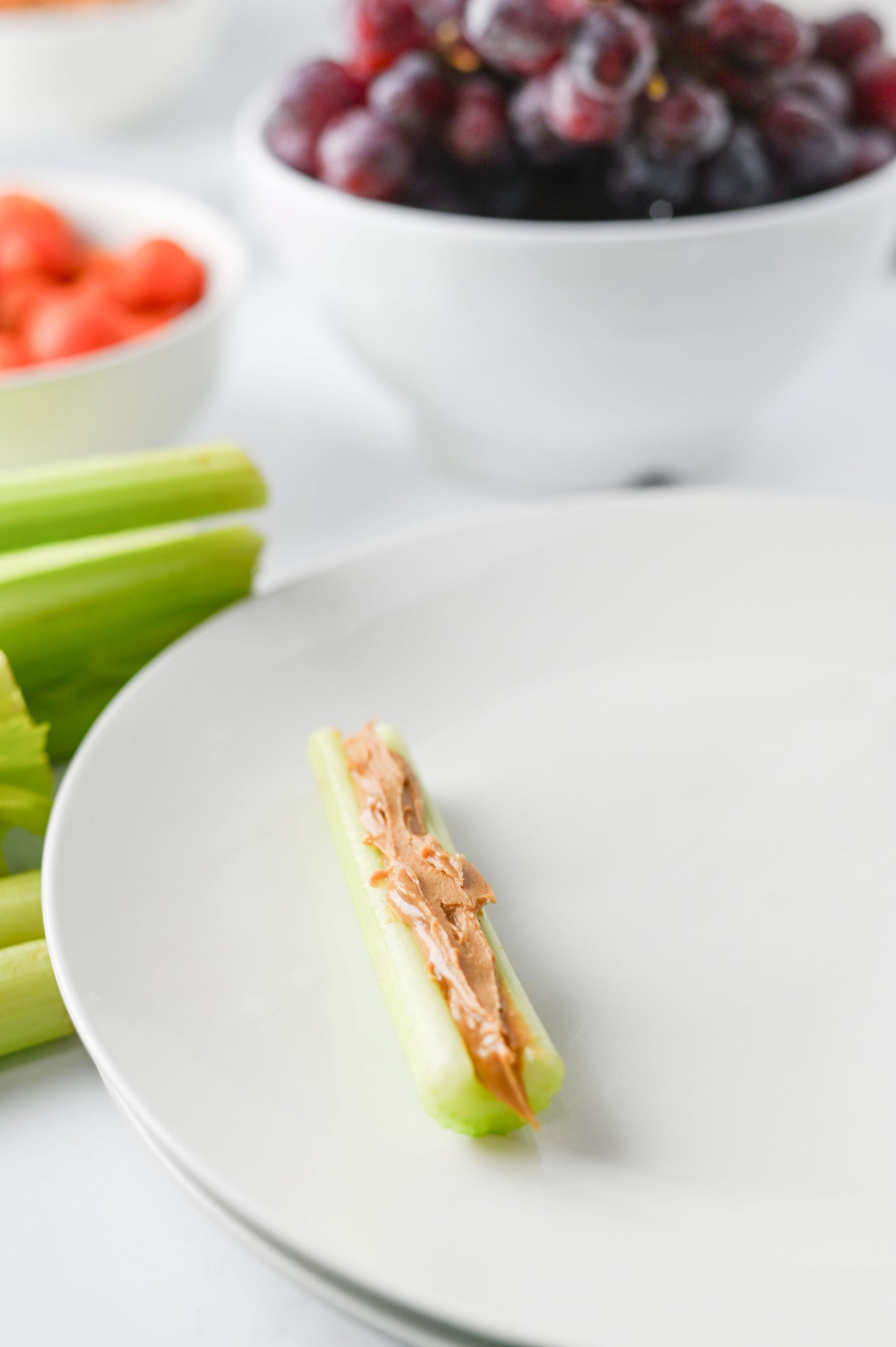 Celery Bug Snacks