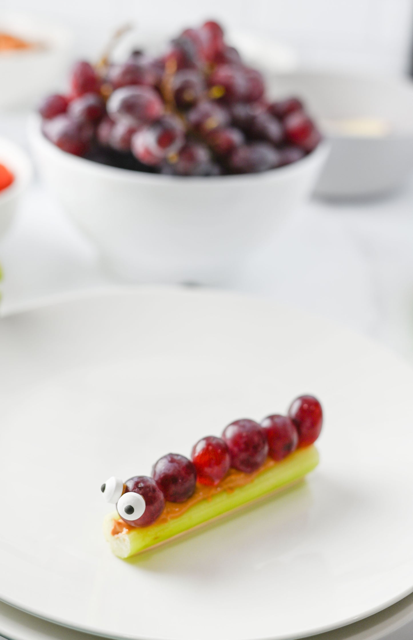 Celery Bug Snacks