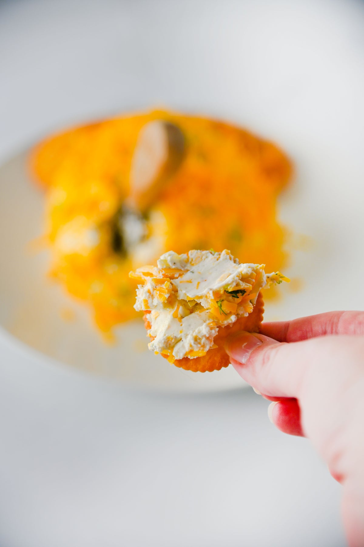 Dill Pickle Cheese Ball Set #1