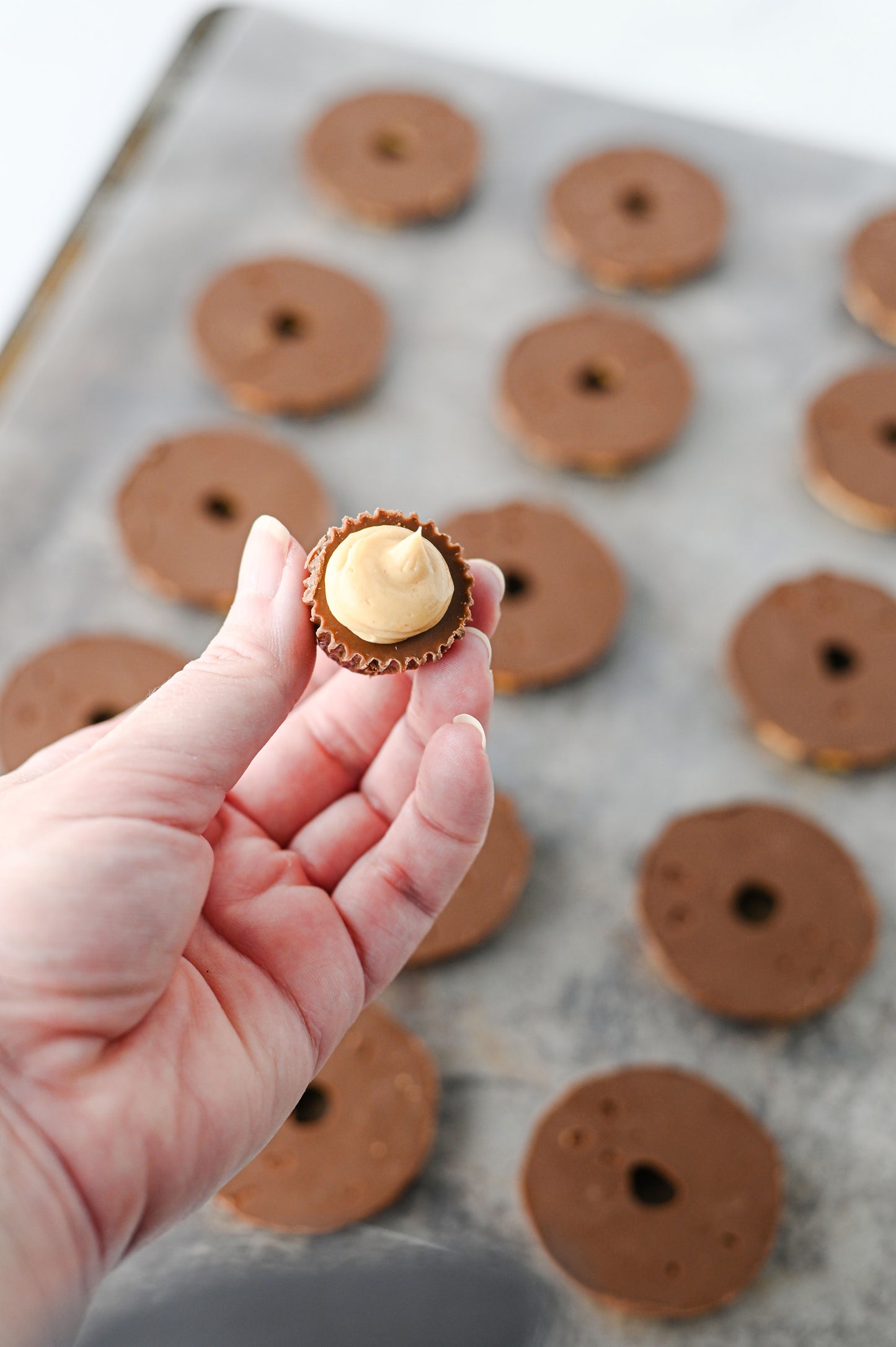 Pilgrim Hat Cookies Set #3